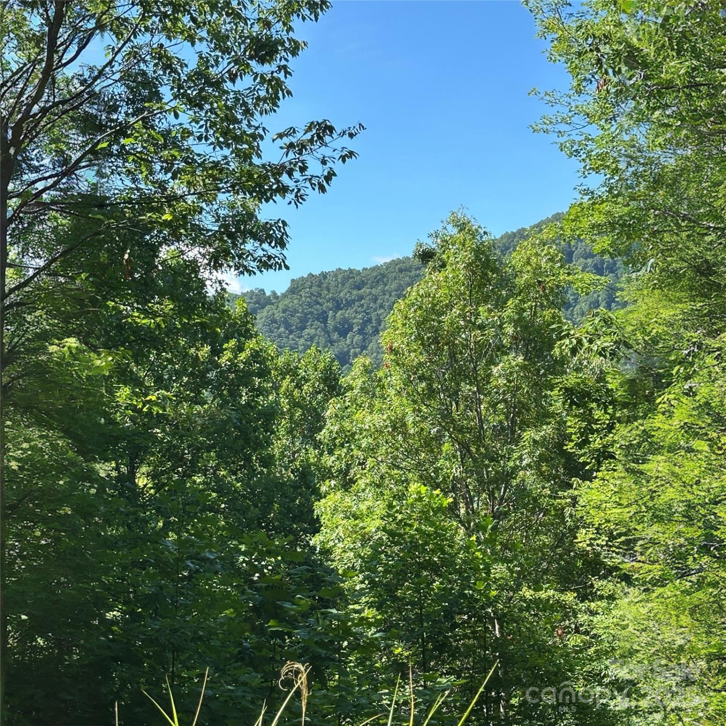 33 Nuthatch Lane #T-84 - Photo 4