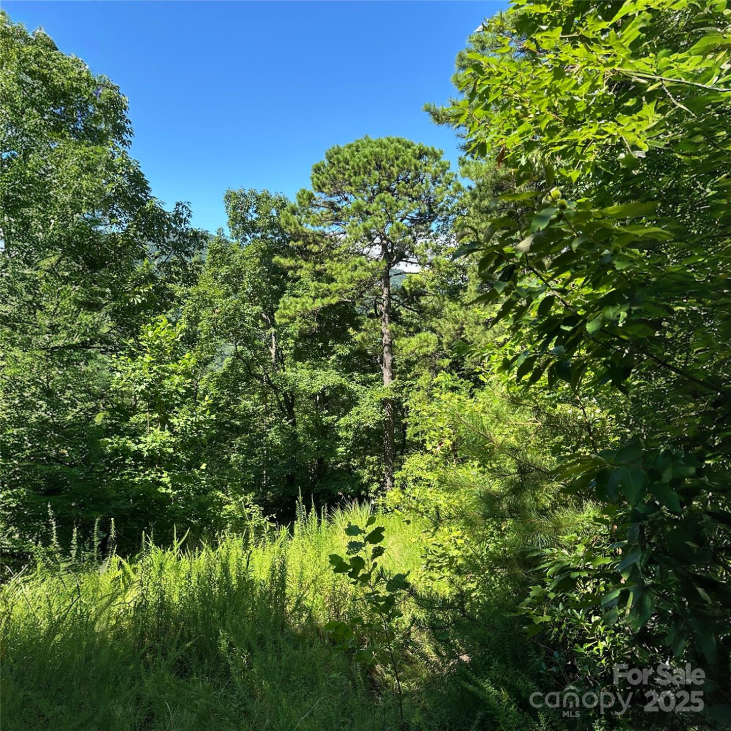 33 Nuthatch Lane #T-84 - Photo 5