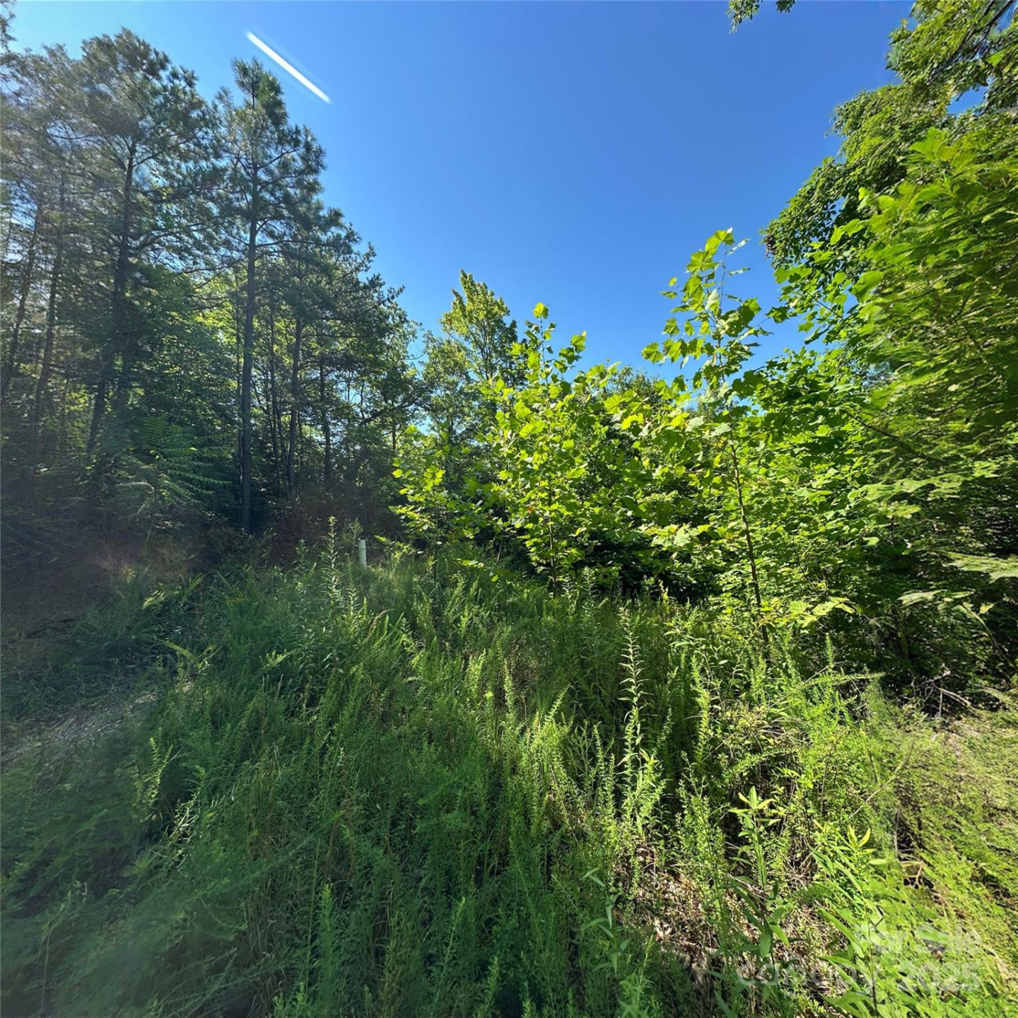 33 Nuthatch Lane #T-84 - Photo 6