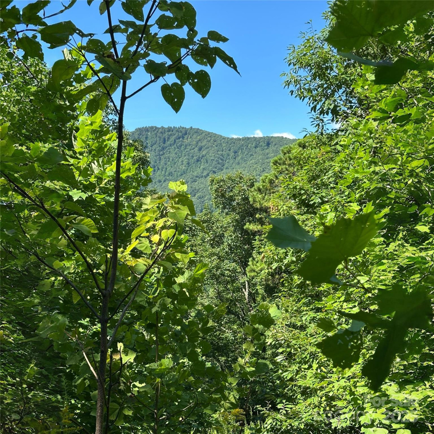 33 Nuthatch Lane #T-84 - Photo 7