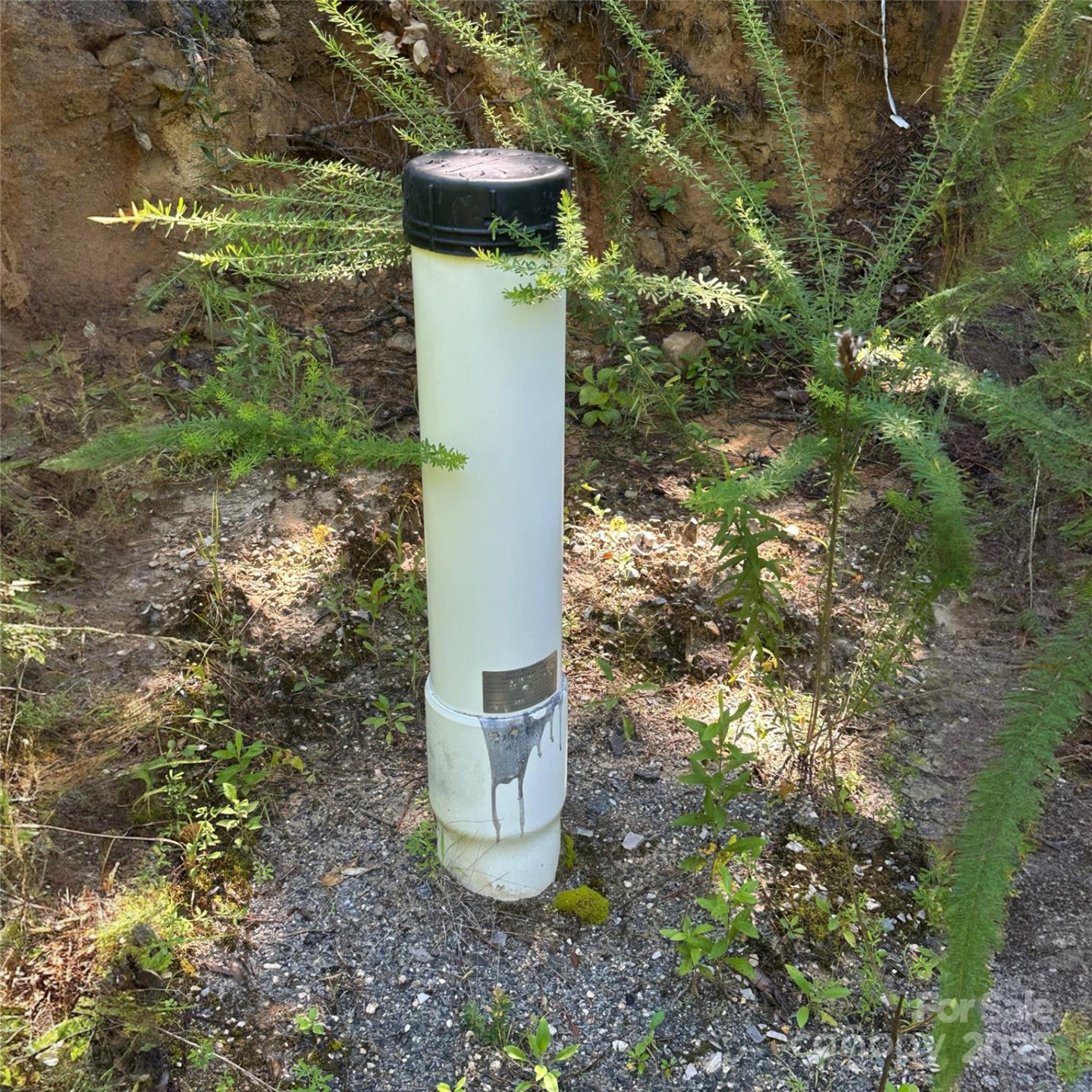 33 Nuthatch Lane #T-84 - Photo 8