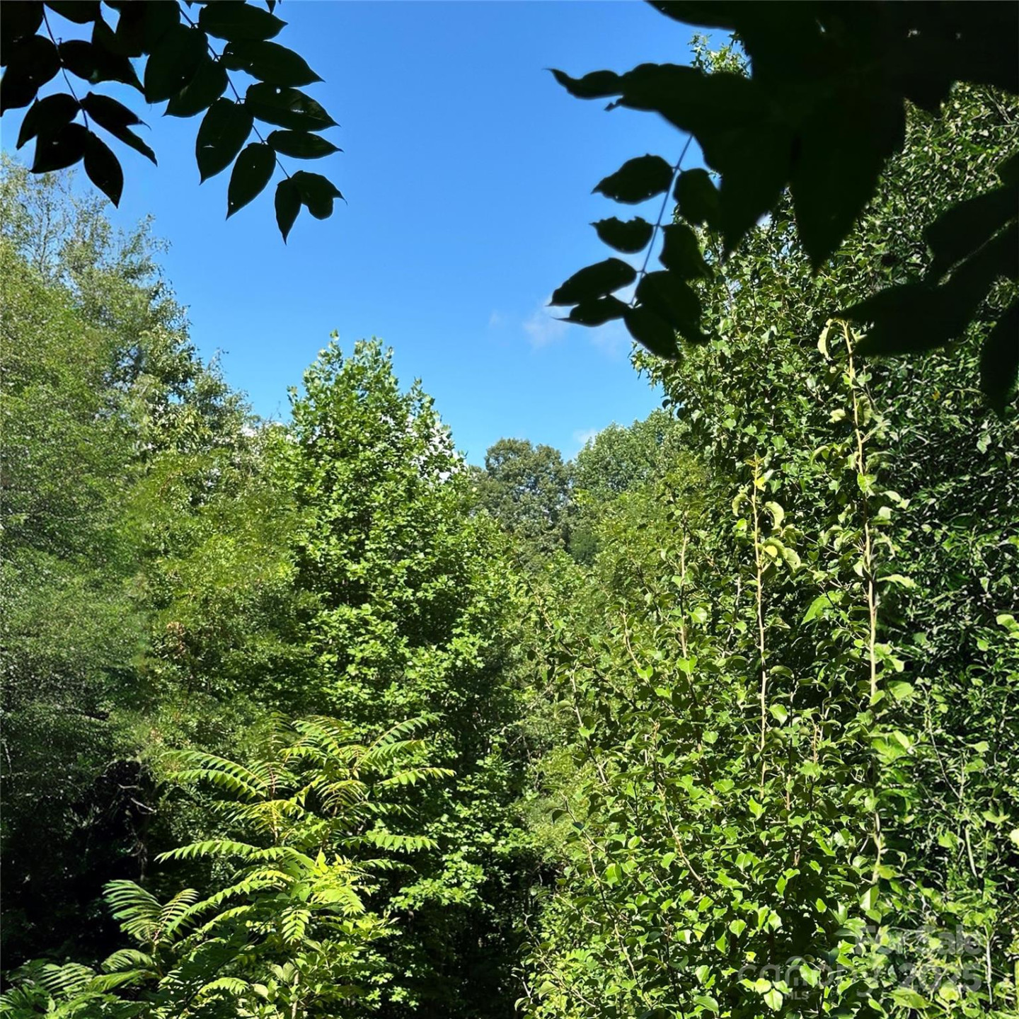 33 Nuthatch Lane #T-84 - Photo 9