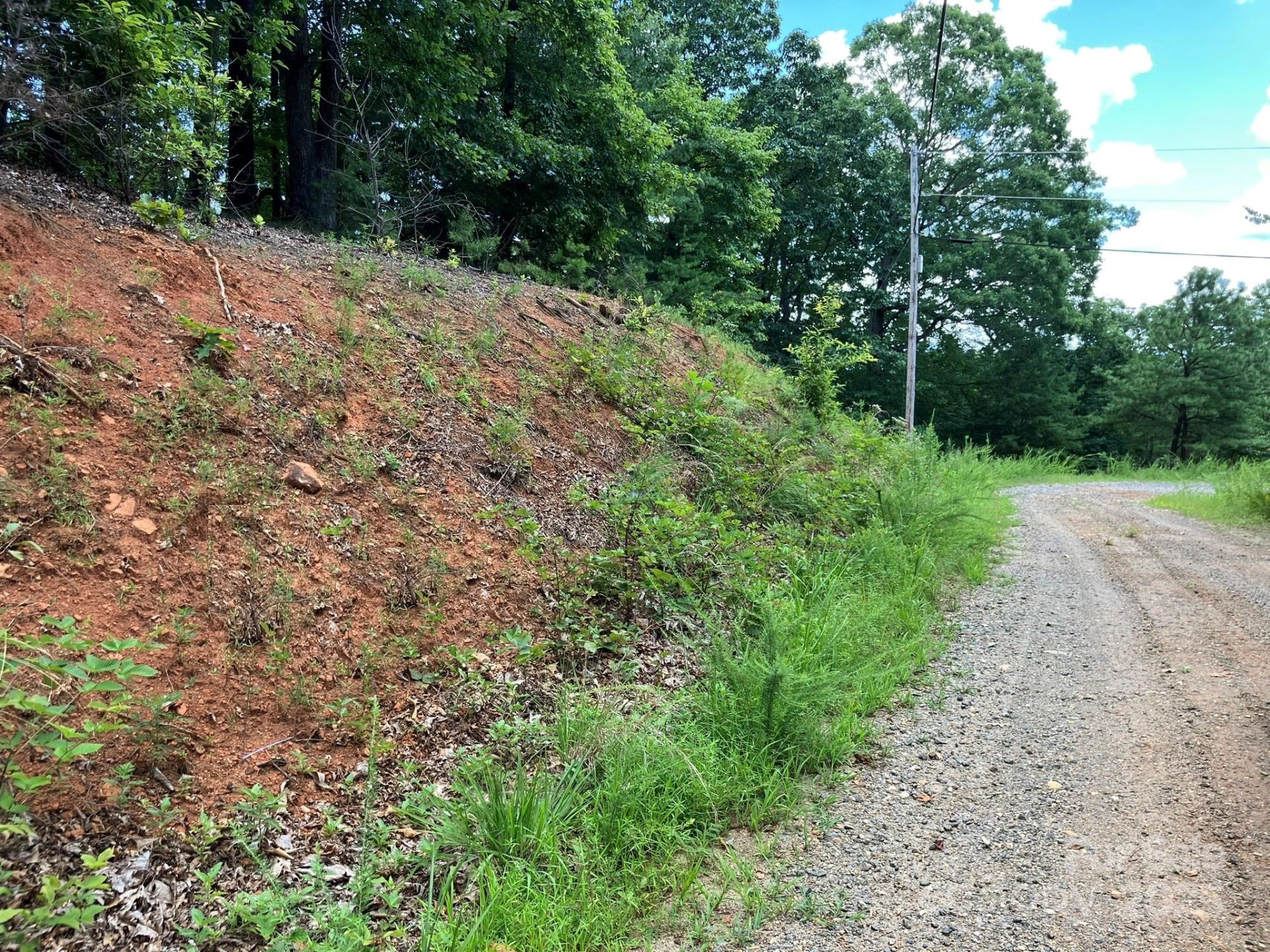 00 Roberts Trail #LOT 429 - Photo 3