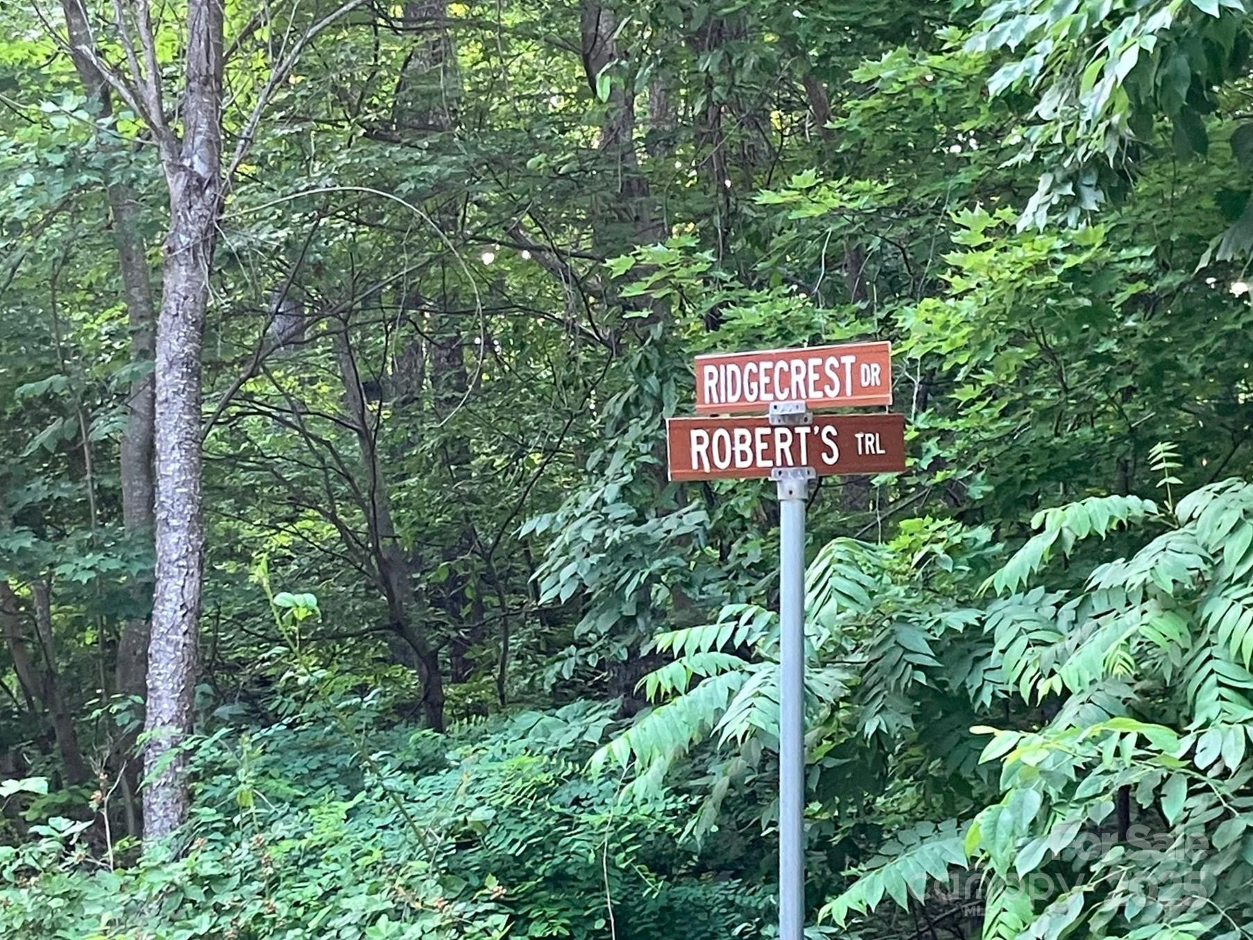 00 Roberts Trail #LOT 429 - Photo 4