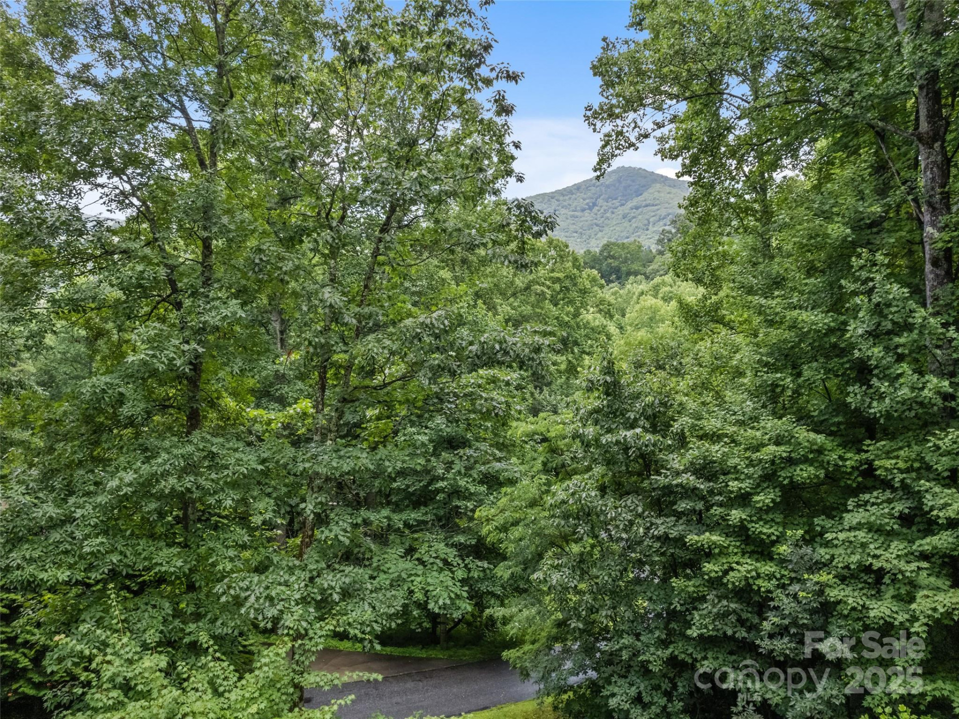 261 Serenity Drive - Photo 38