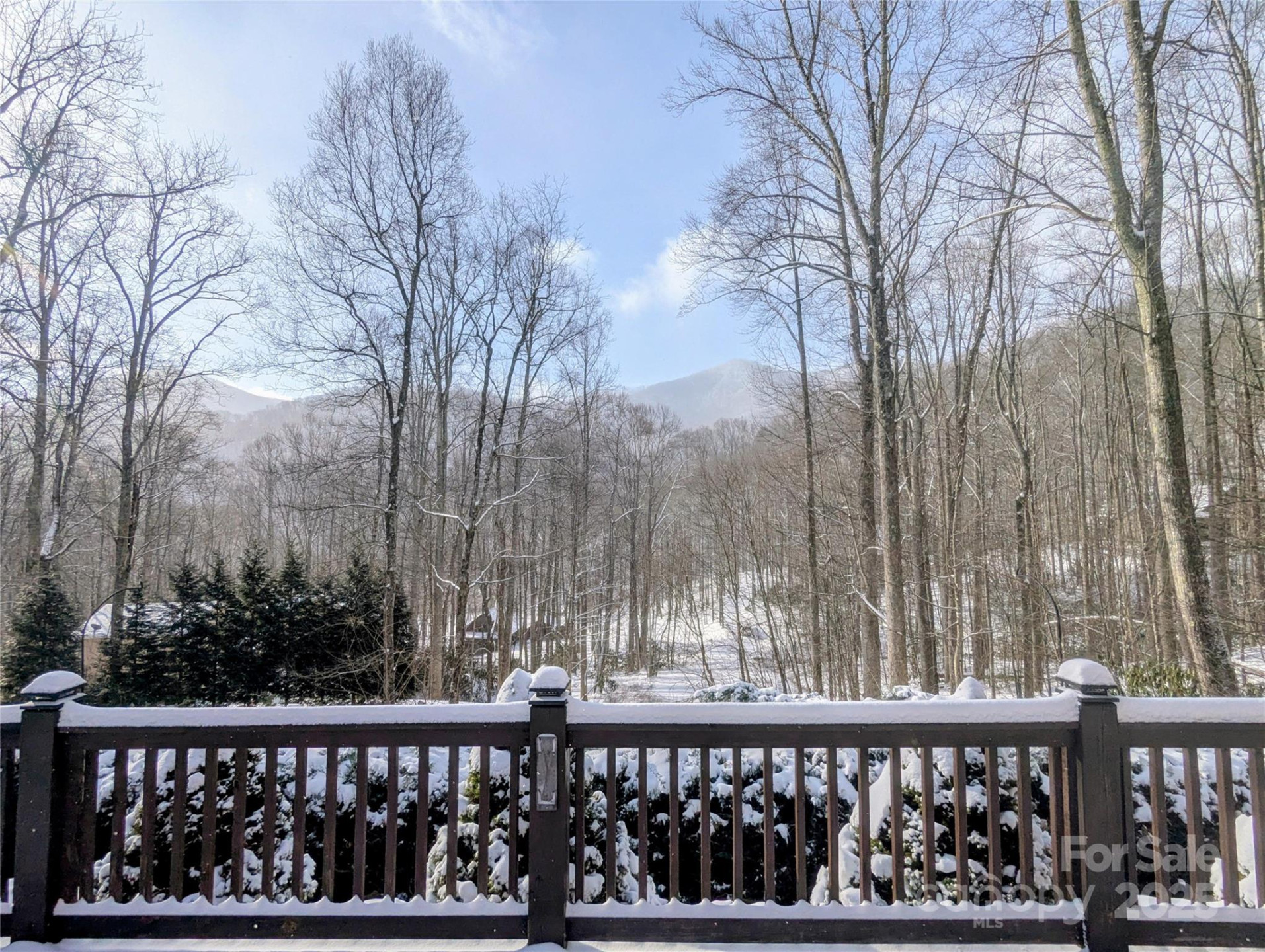 261 Serenity Drive - Photo 5