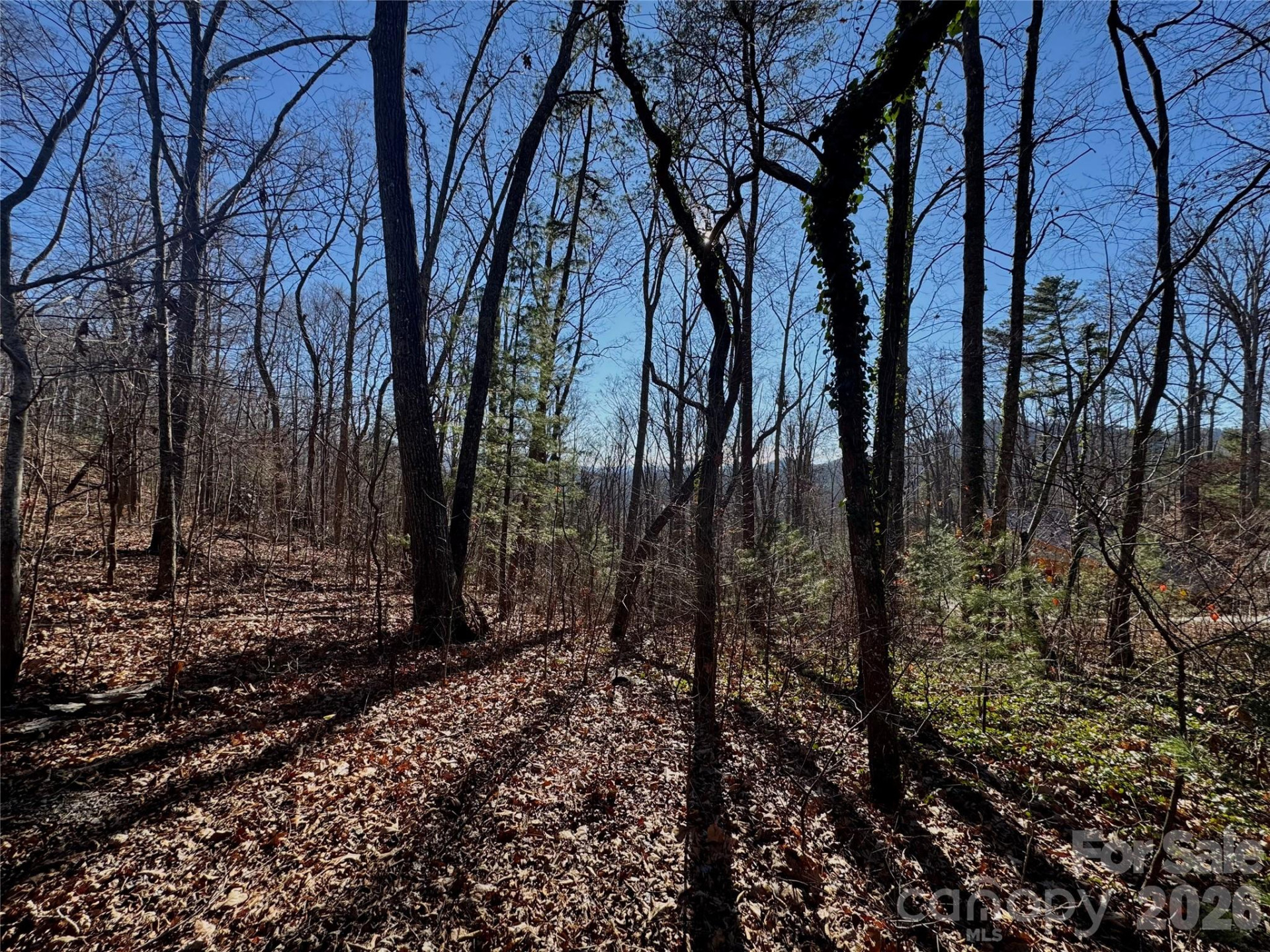 99999 Buffalo Trail #86