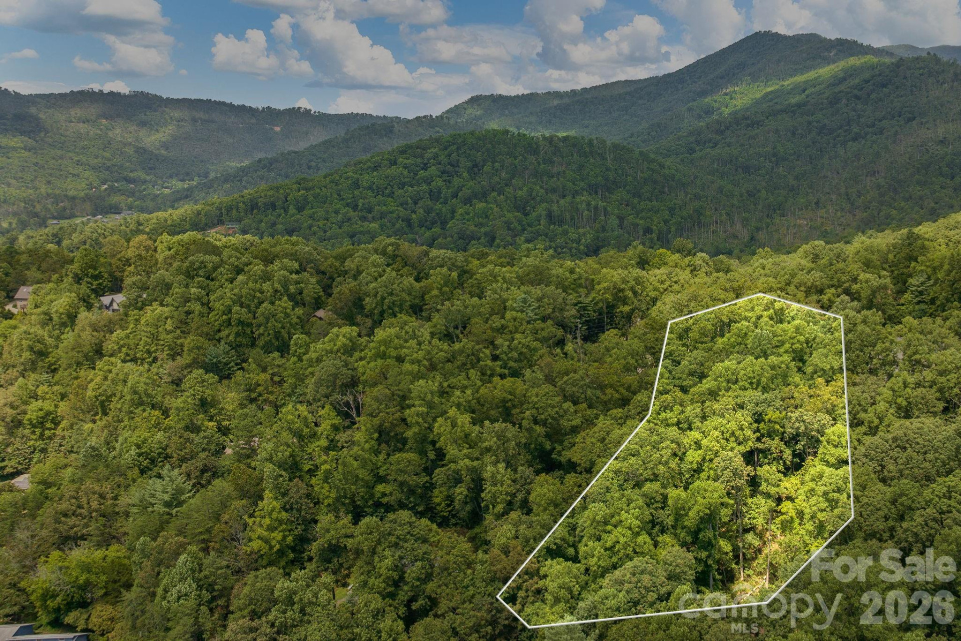 99999 Buffalo Trail #86 - Photo 2