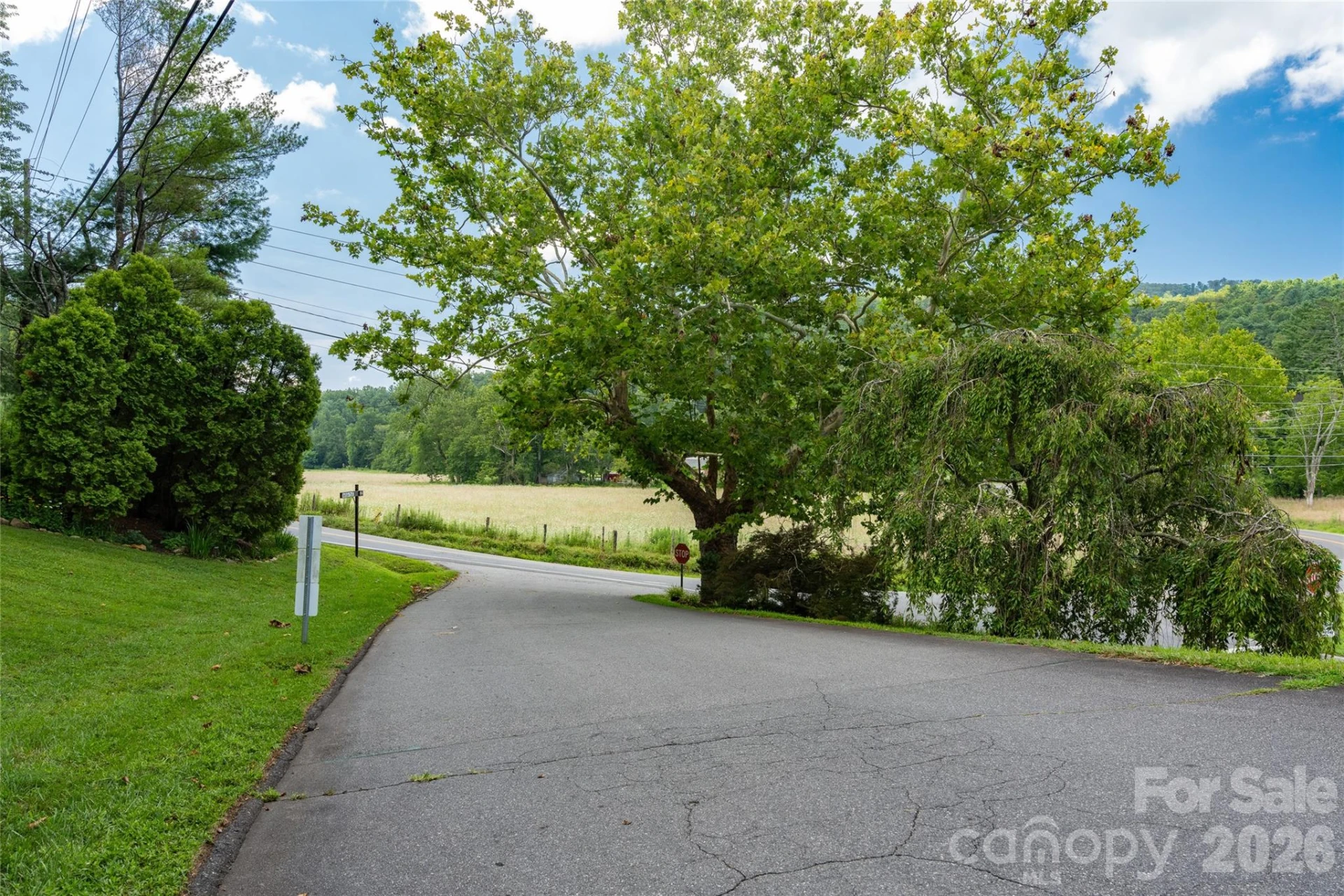 99999 Buffalo Trail #86 - Photo 18