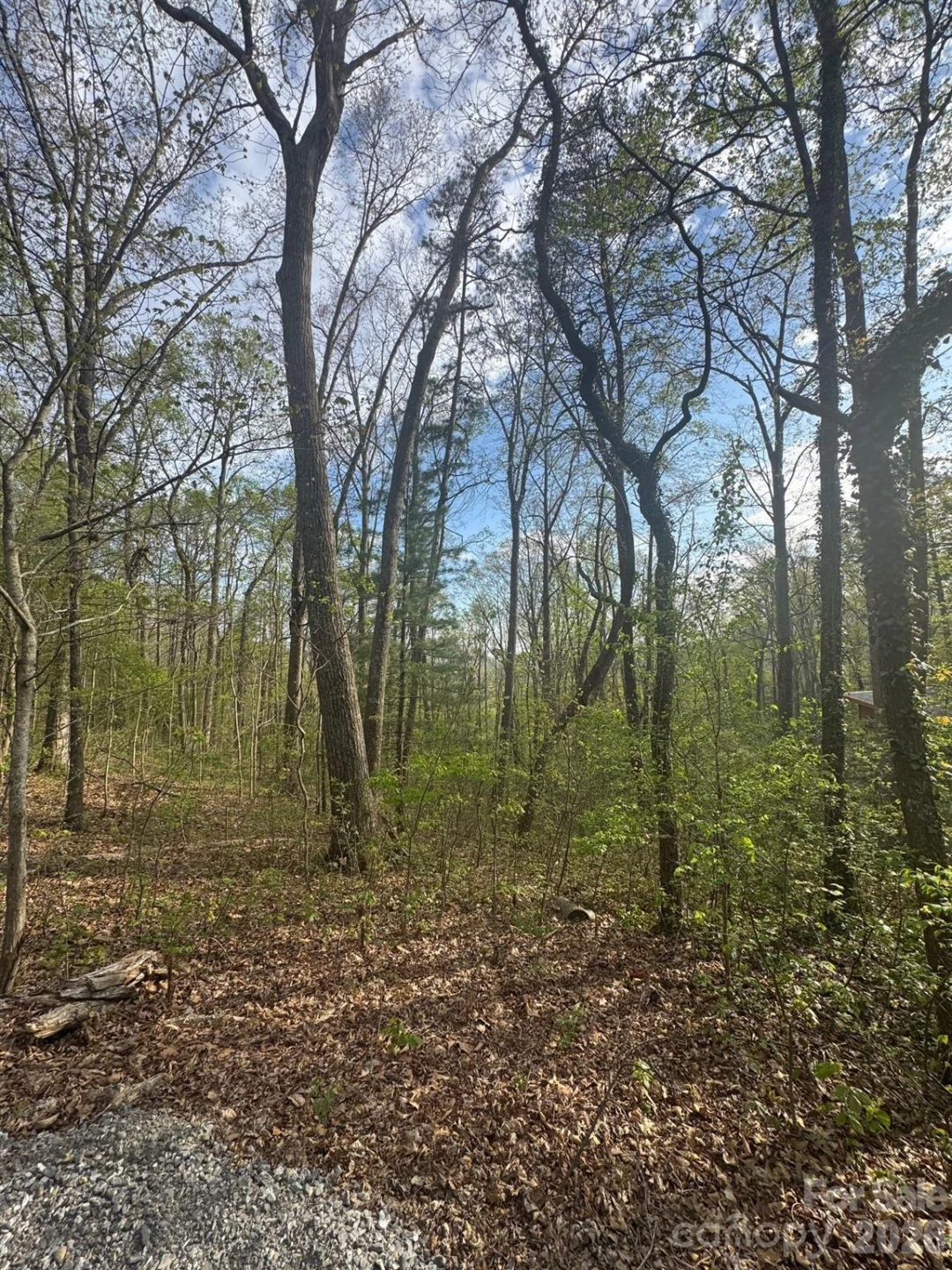 99999 Buffalo Trail #86 - Photo 9