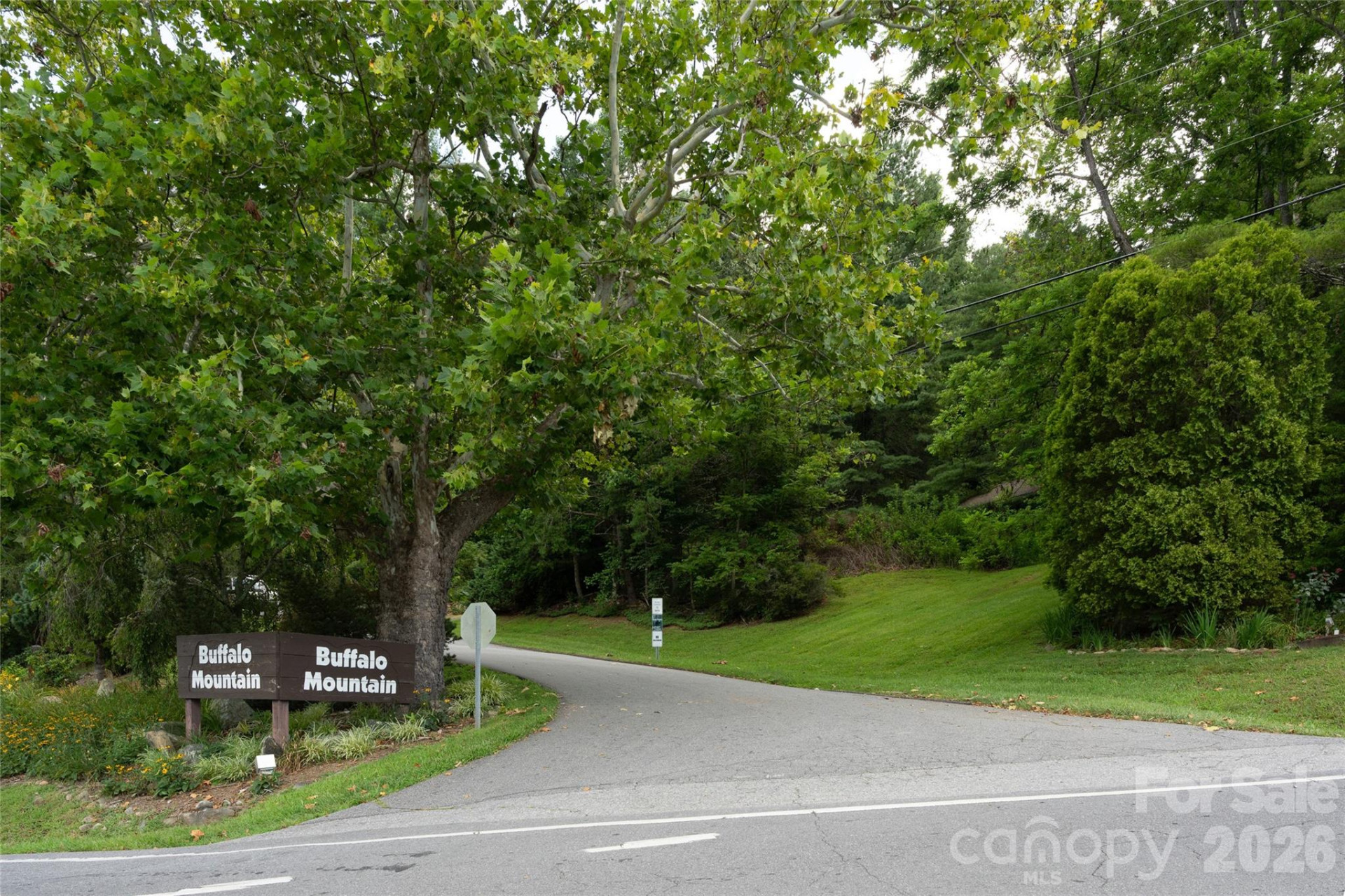 99999 Buffalo Trail #86 - Photo 6