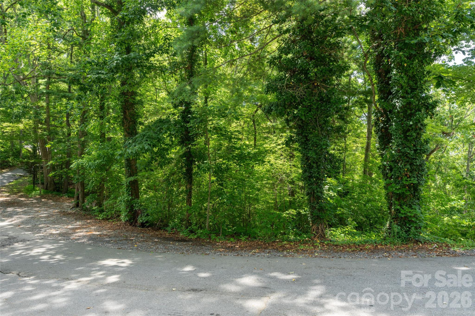 99999 Buffalo Trail #86 - Photo 7