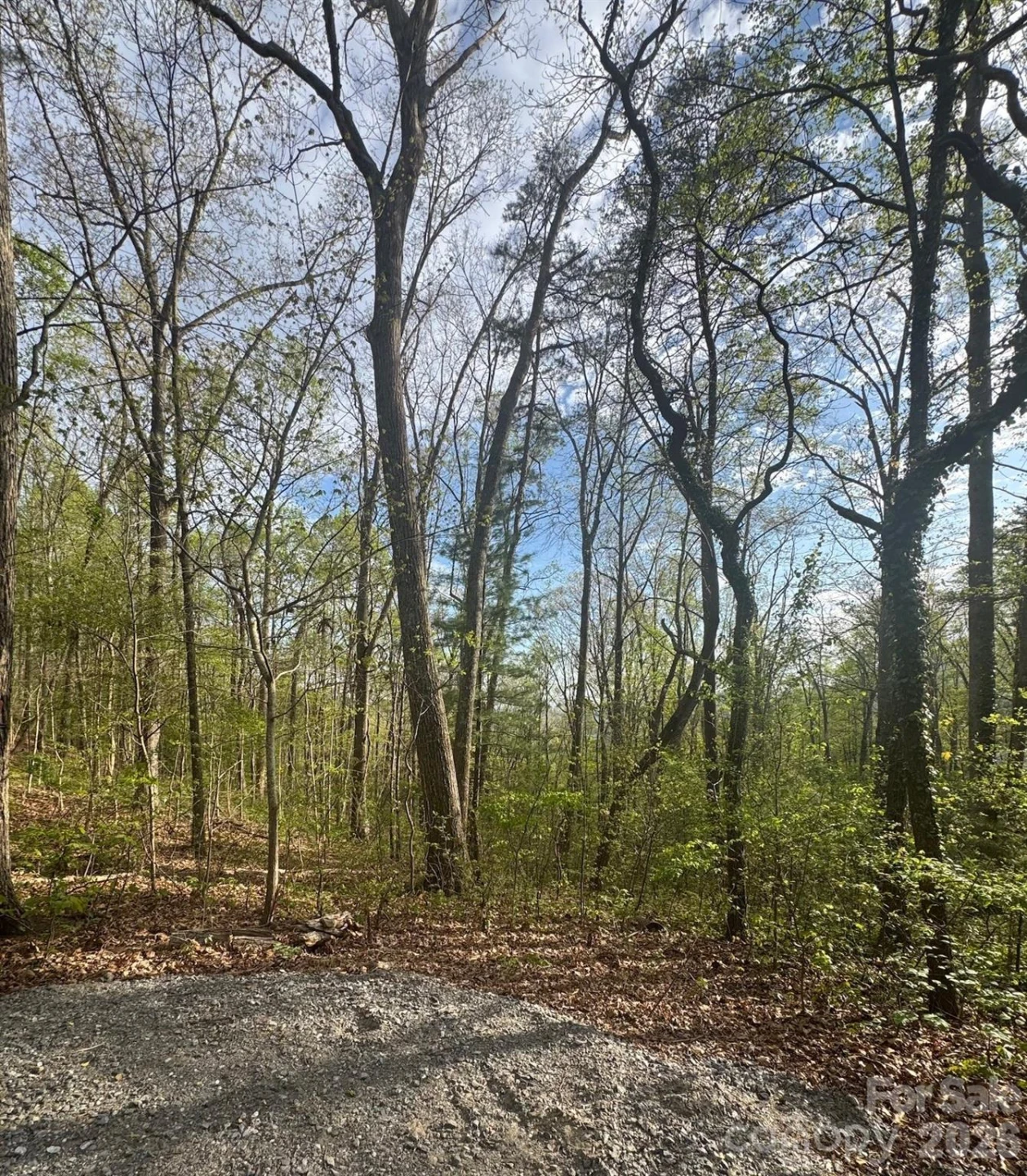 99999 Buffalo Trail #86 - Photo 13