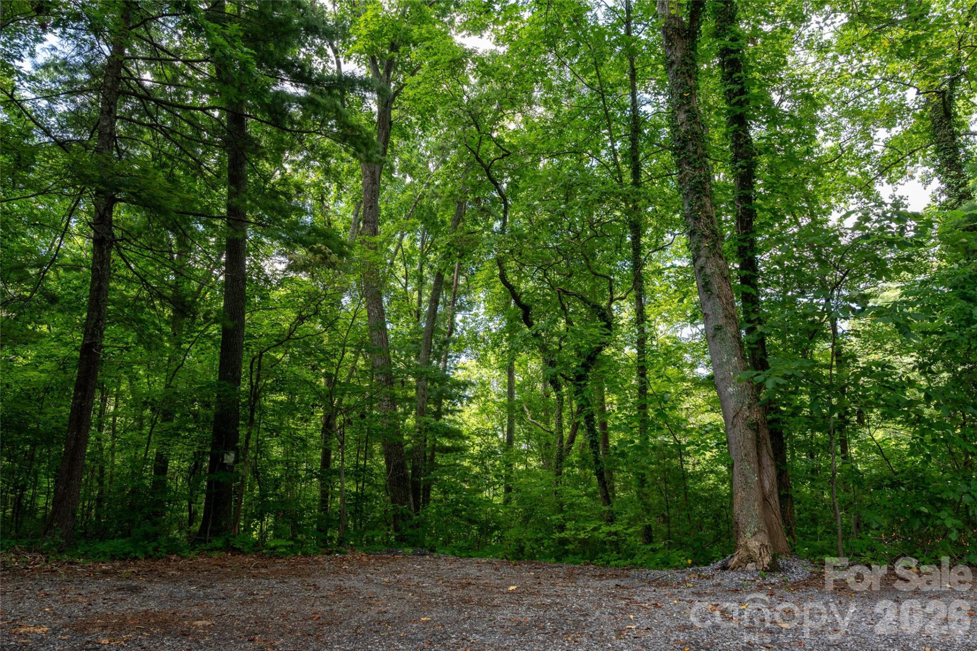 99999 Buffalo Trail #86 - Photo 9