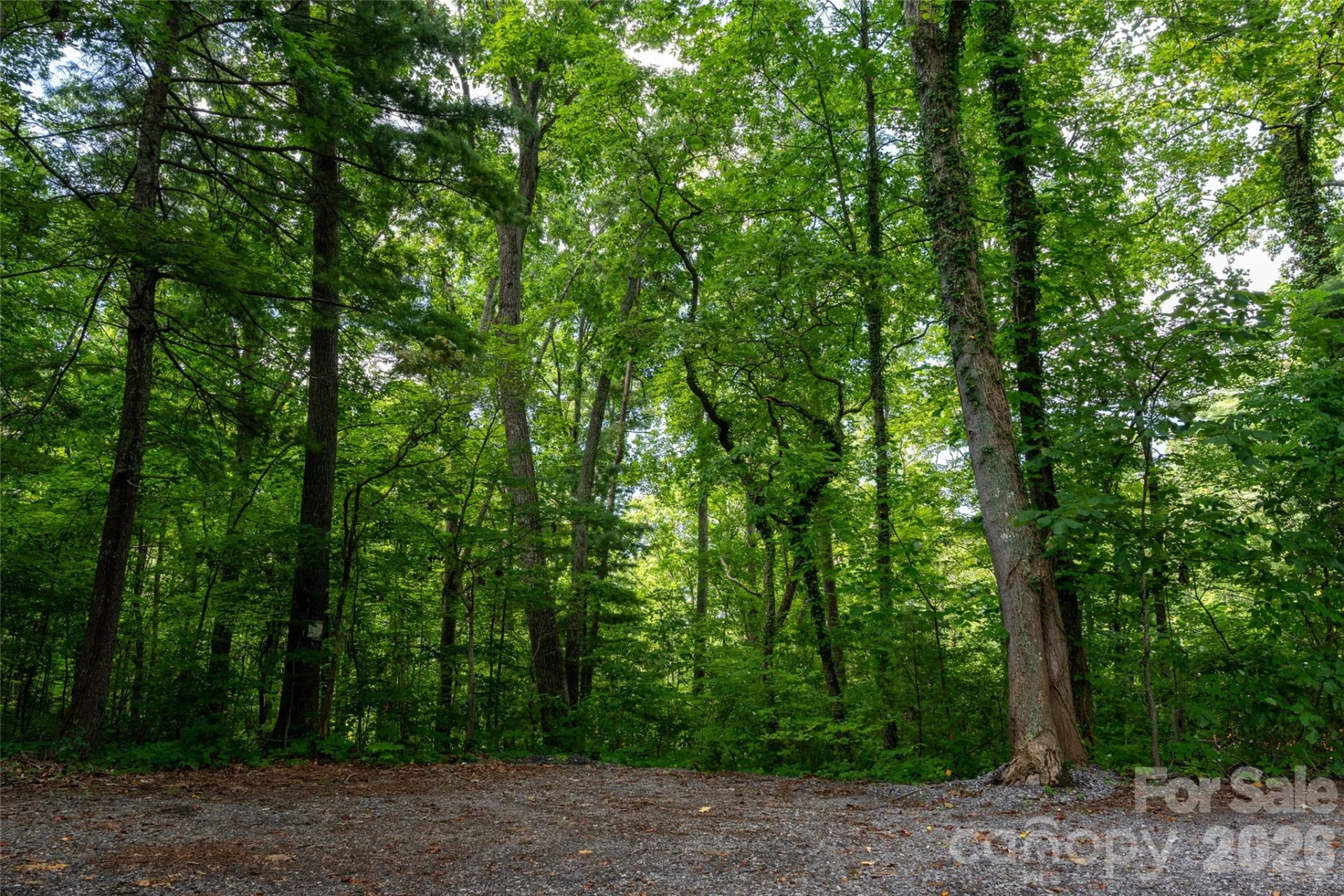 99999 Buffalo Trail #86 - Photo 16