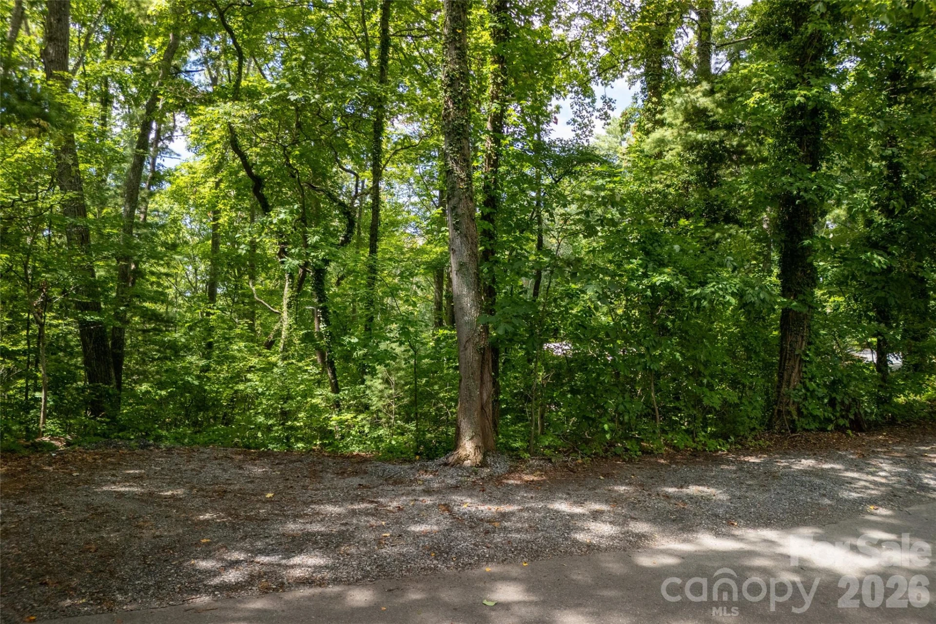 99999 Buffalo Trail #86 - Photo 17