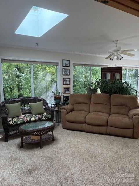 23 Dvga Court - Photo 28