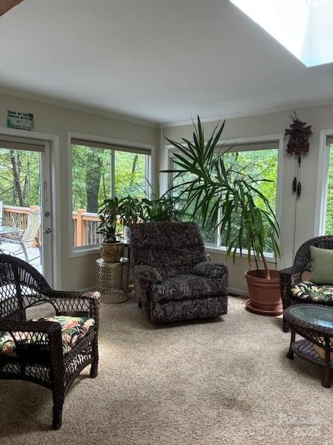 23 Dvga Court - Photo 29