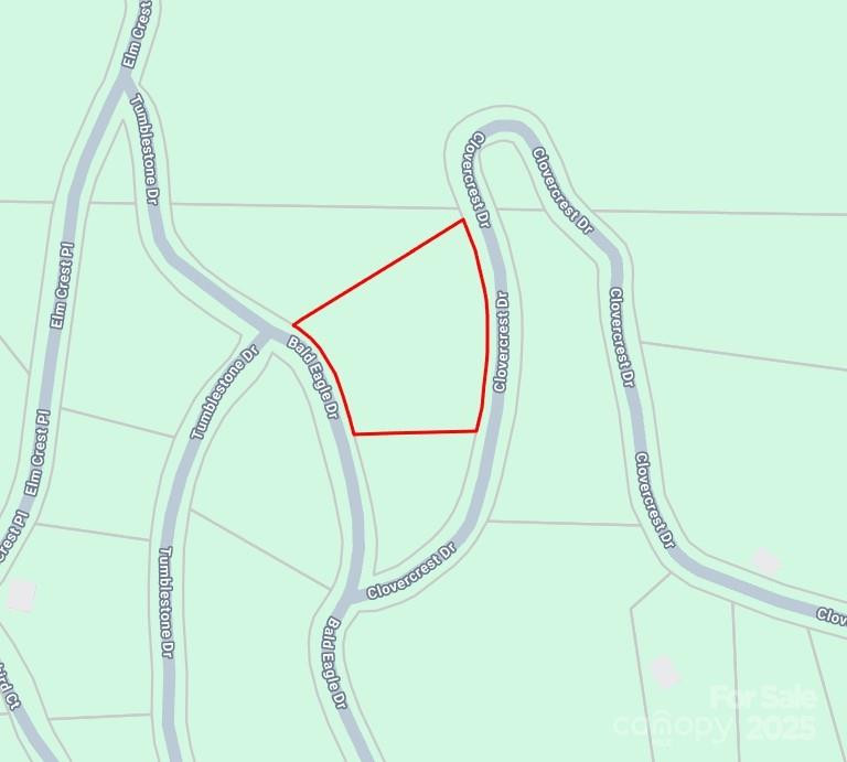 TBD Bald Eagle Drive - Photo 2