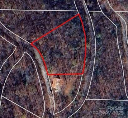 TBD Bald Eagle Drive - Photo 13