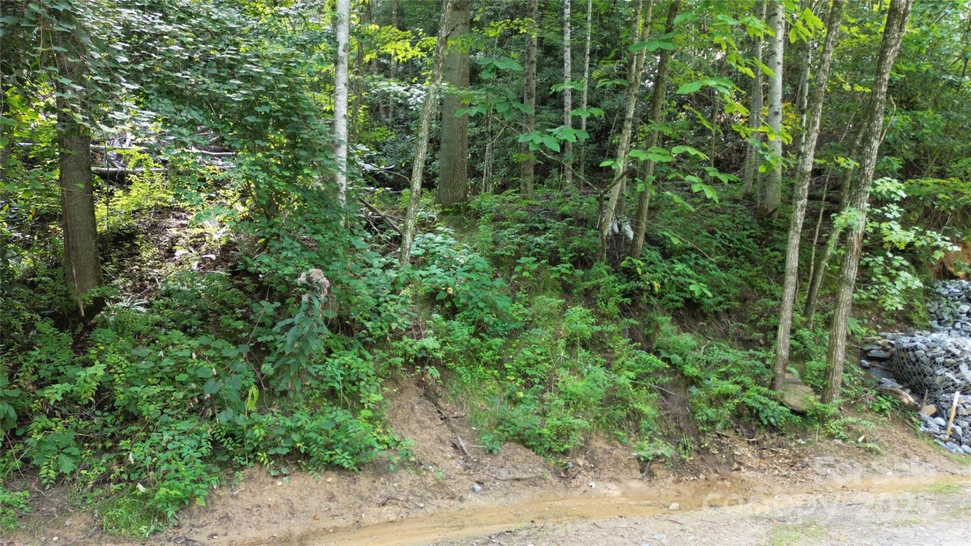 TBD Bald Eagle Drive - Photo 7