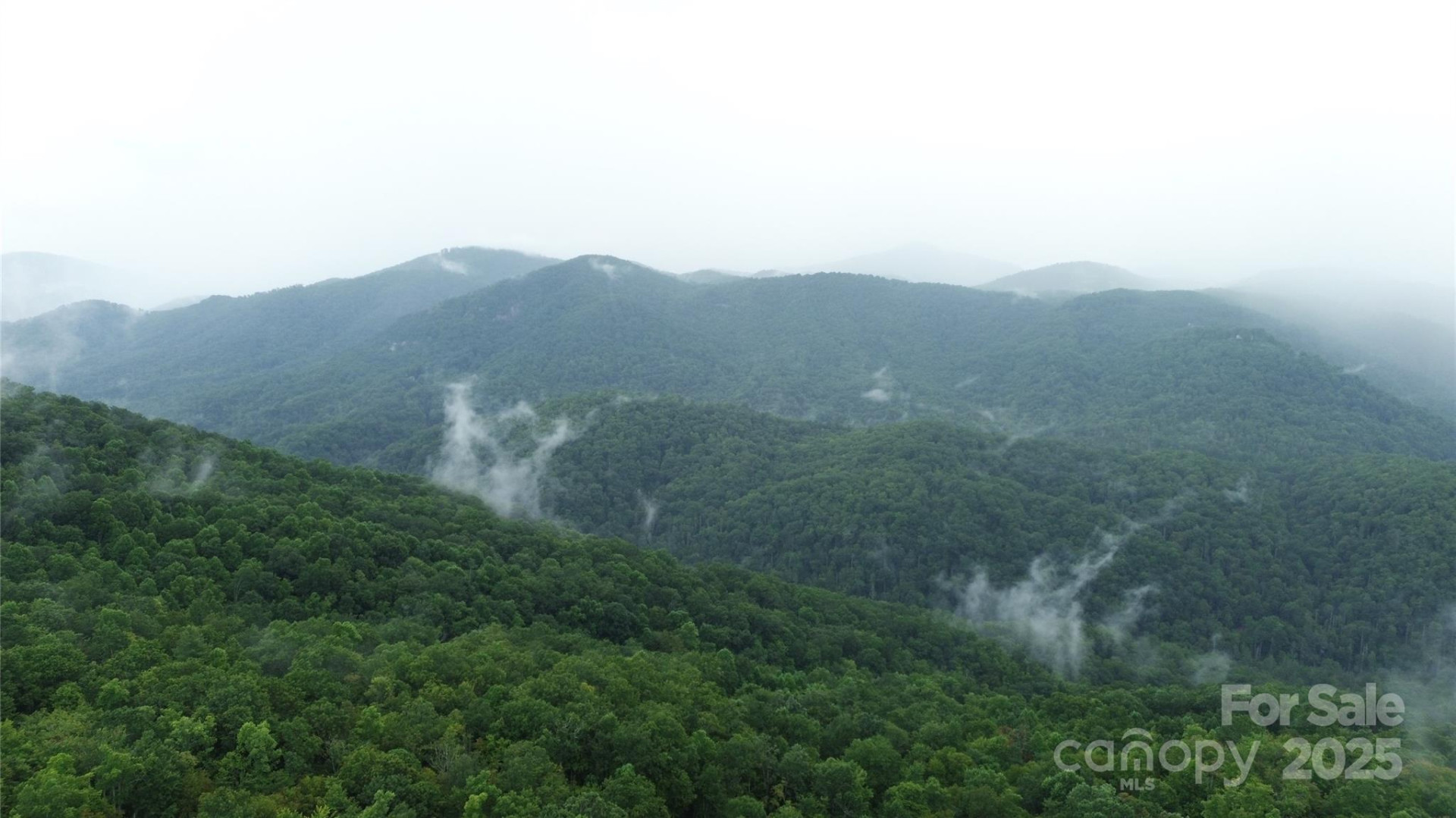 TBD Bald Eagle Drive - Photo 9