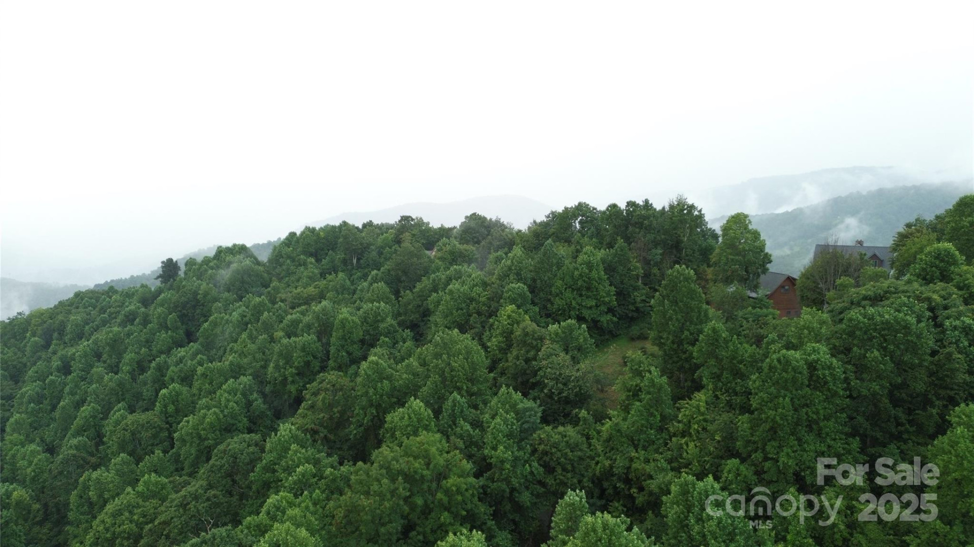 TBD Bald Eagle Drive - Photo 10