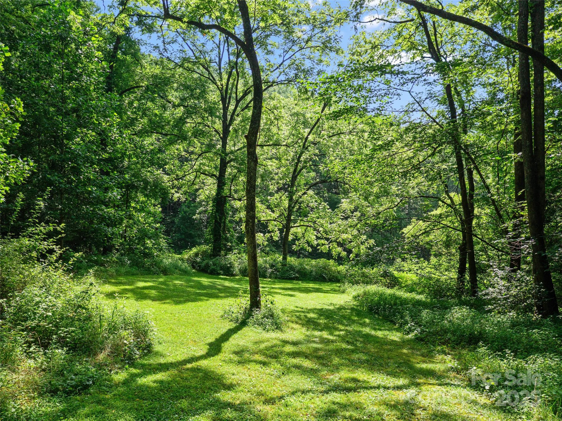 9065 NC 63 Highway - Photo 33