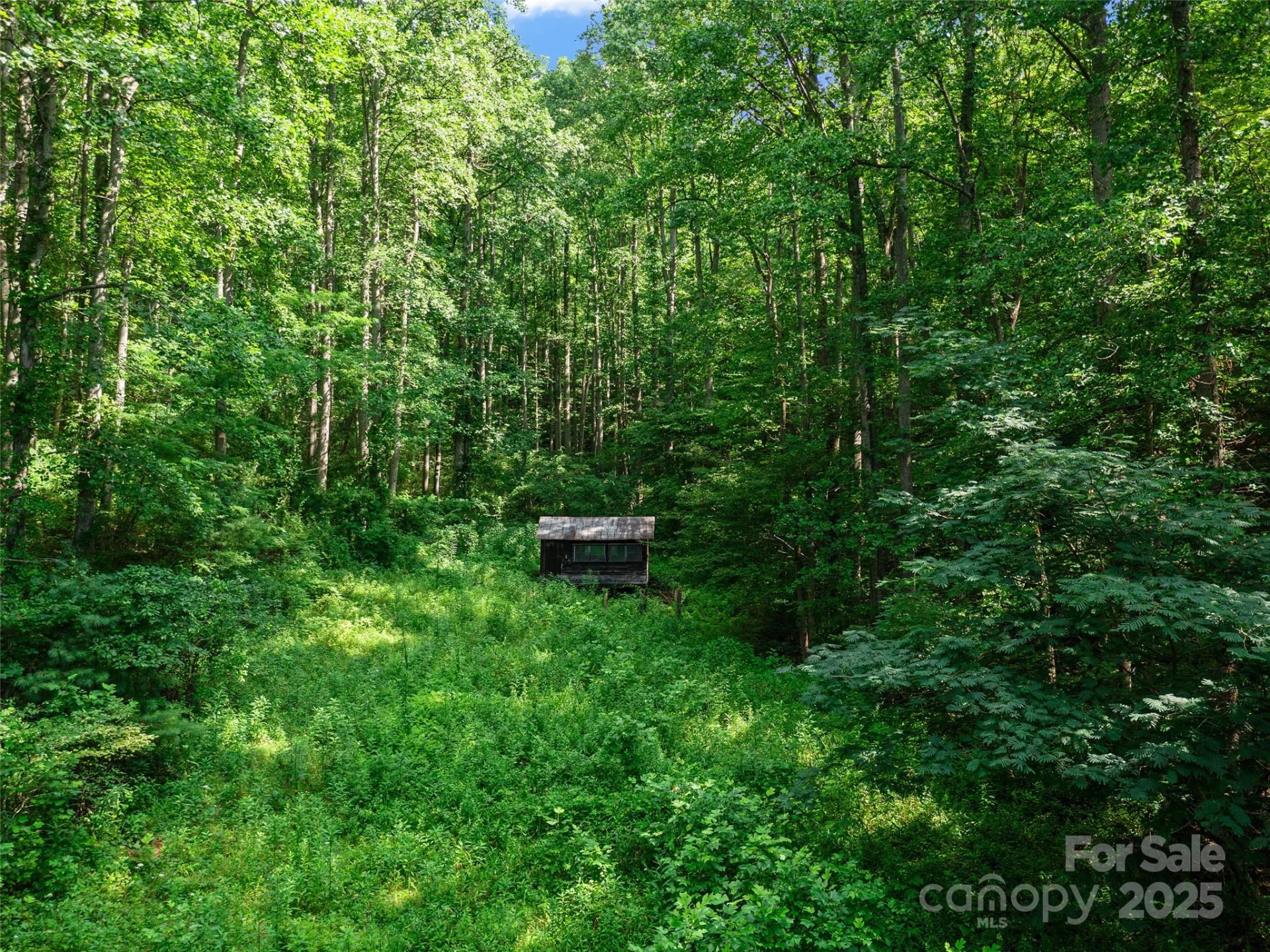 9065 NC 63 Highway - Photo 34