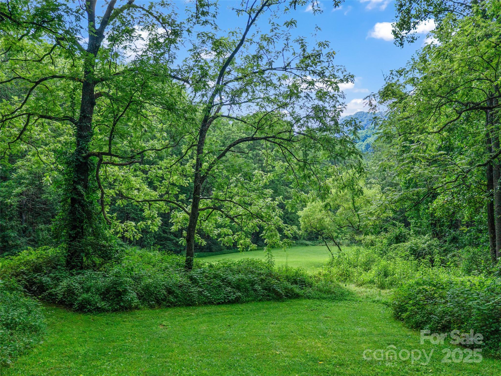 9065 NC 63 Highway - Photo 36