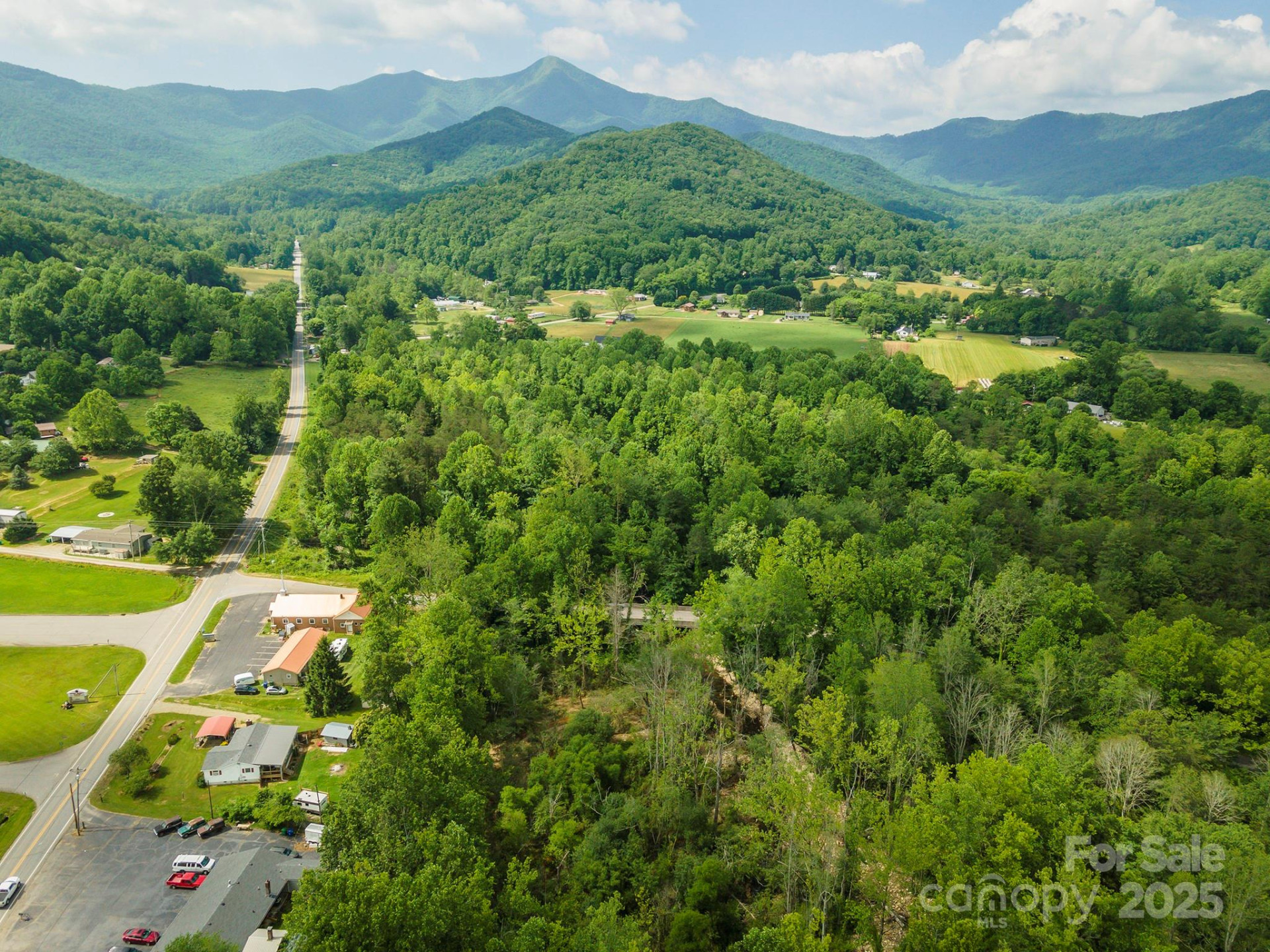 99999 Pisgah Highway - Photo 4