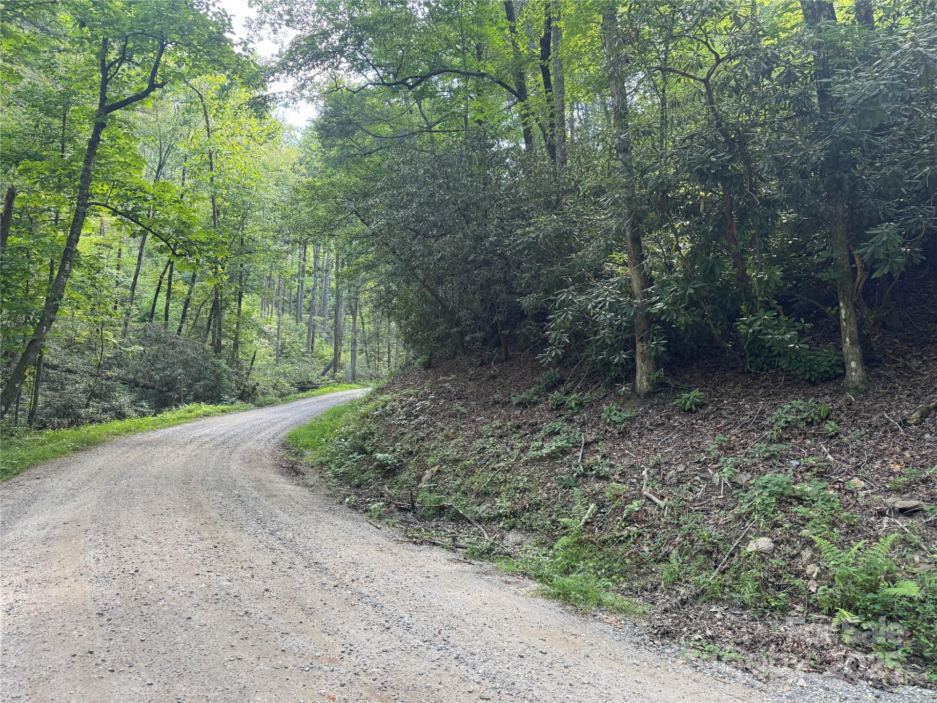 00 Rich Mountain Road - Photo 2