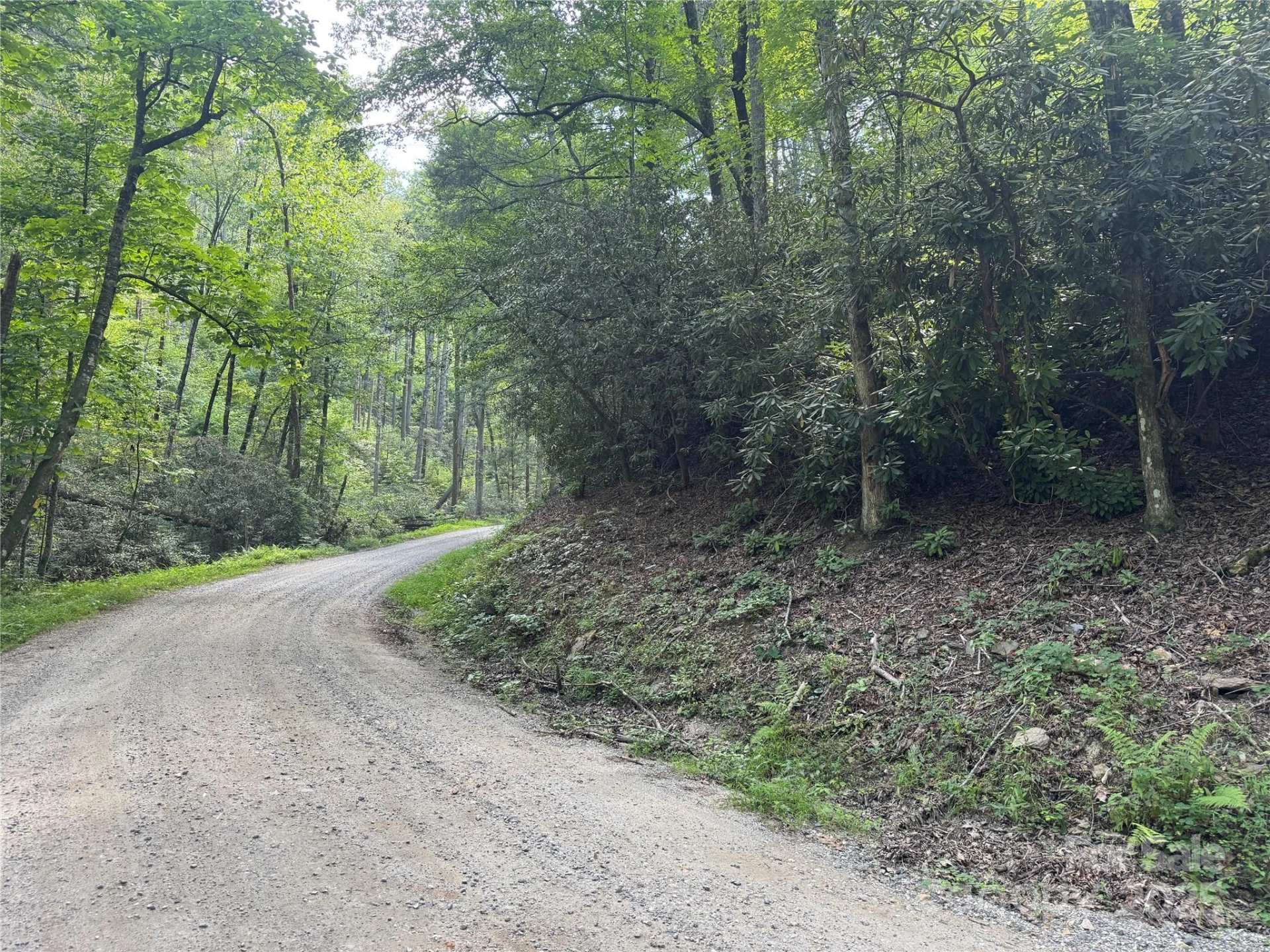 00 Rich Mountain Road - Photo 2