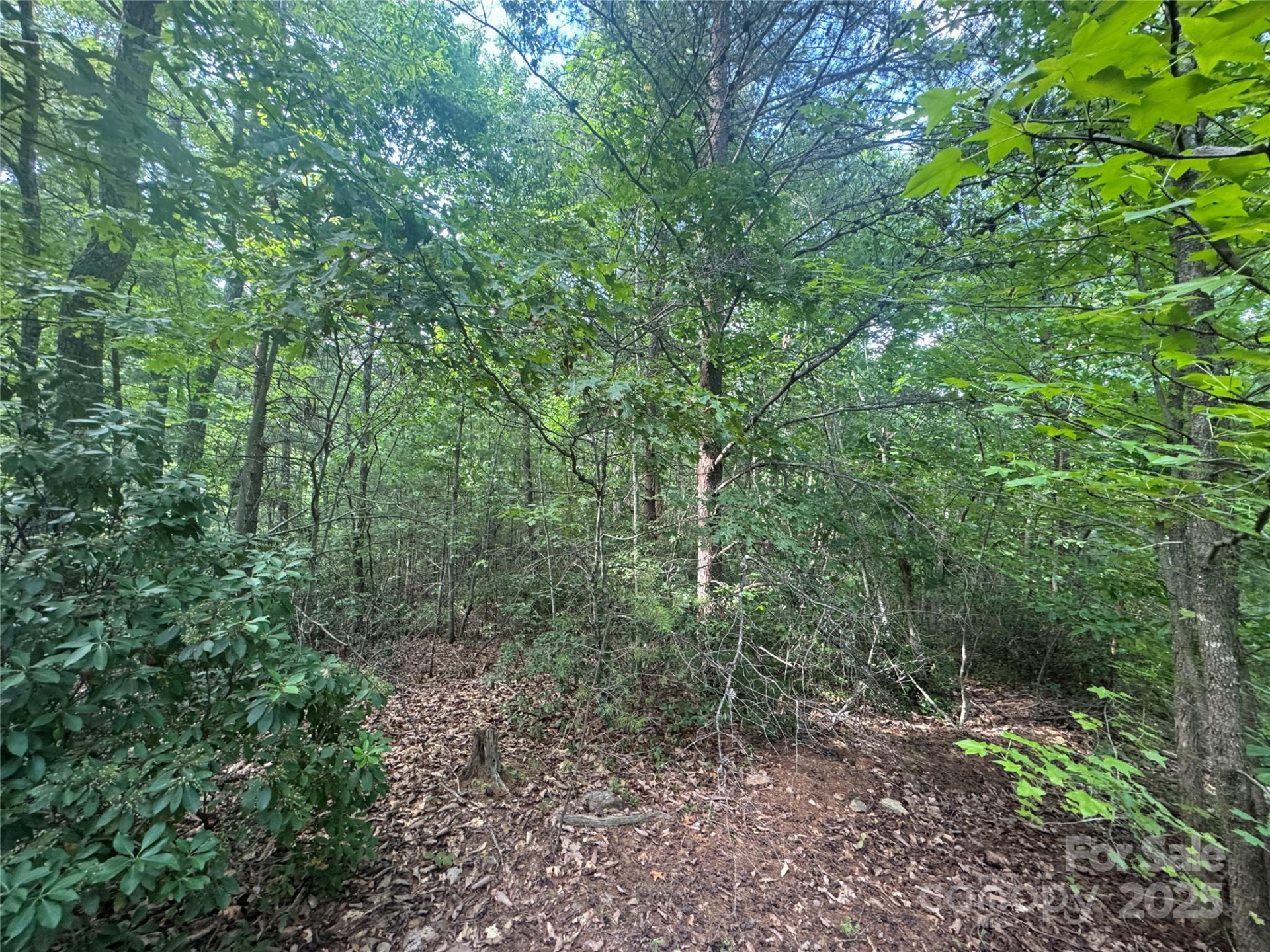 00 Rich Mountain Road - Photo 11