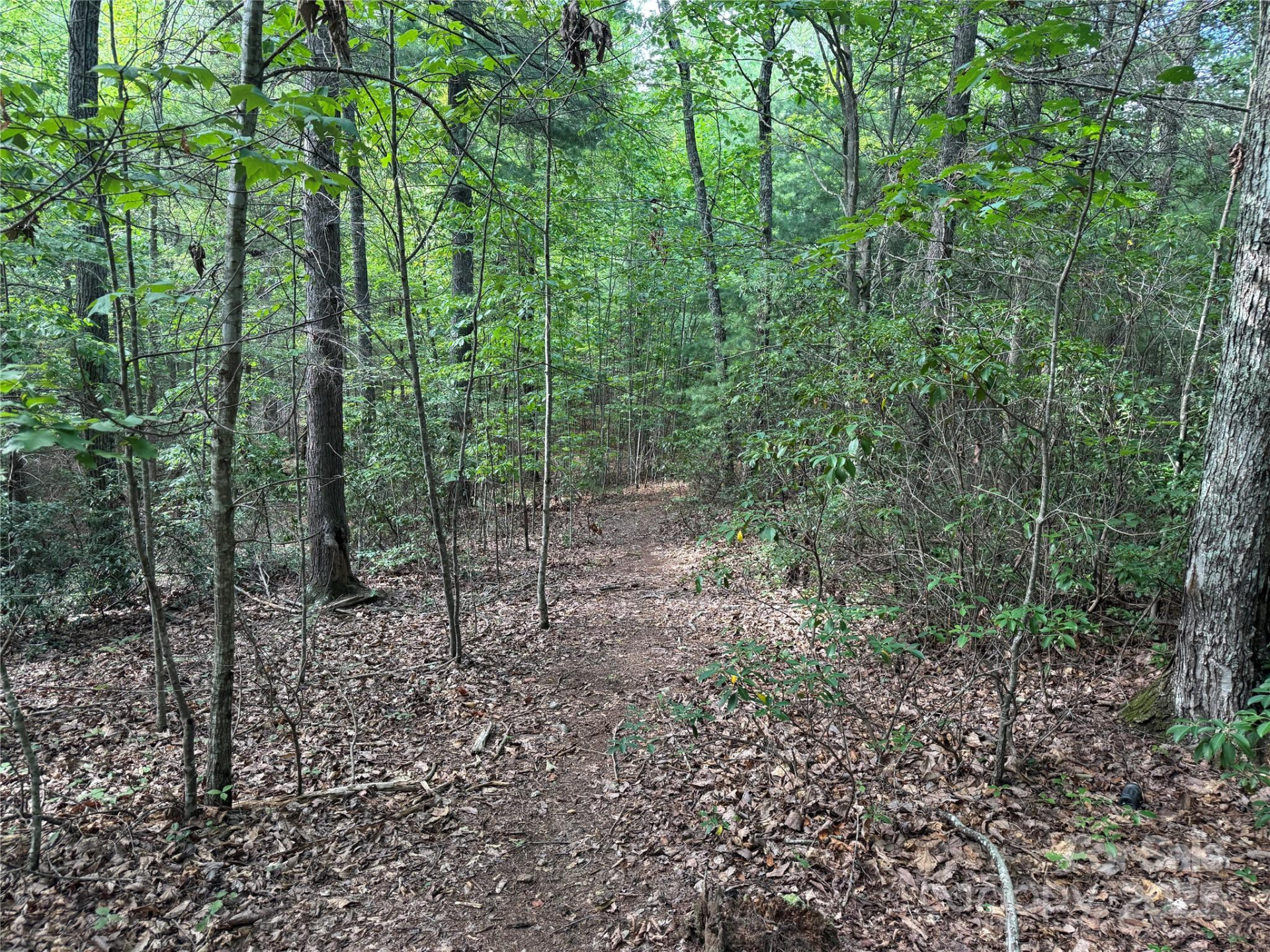 00 Rich Mountain Road - Photo 12