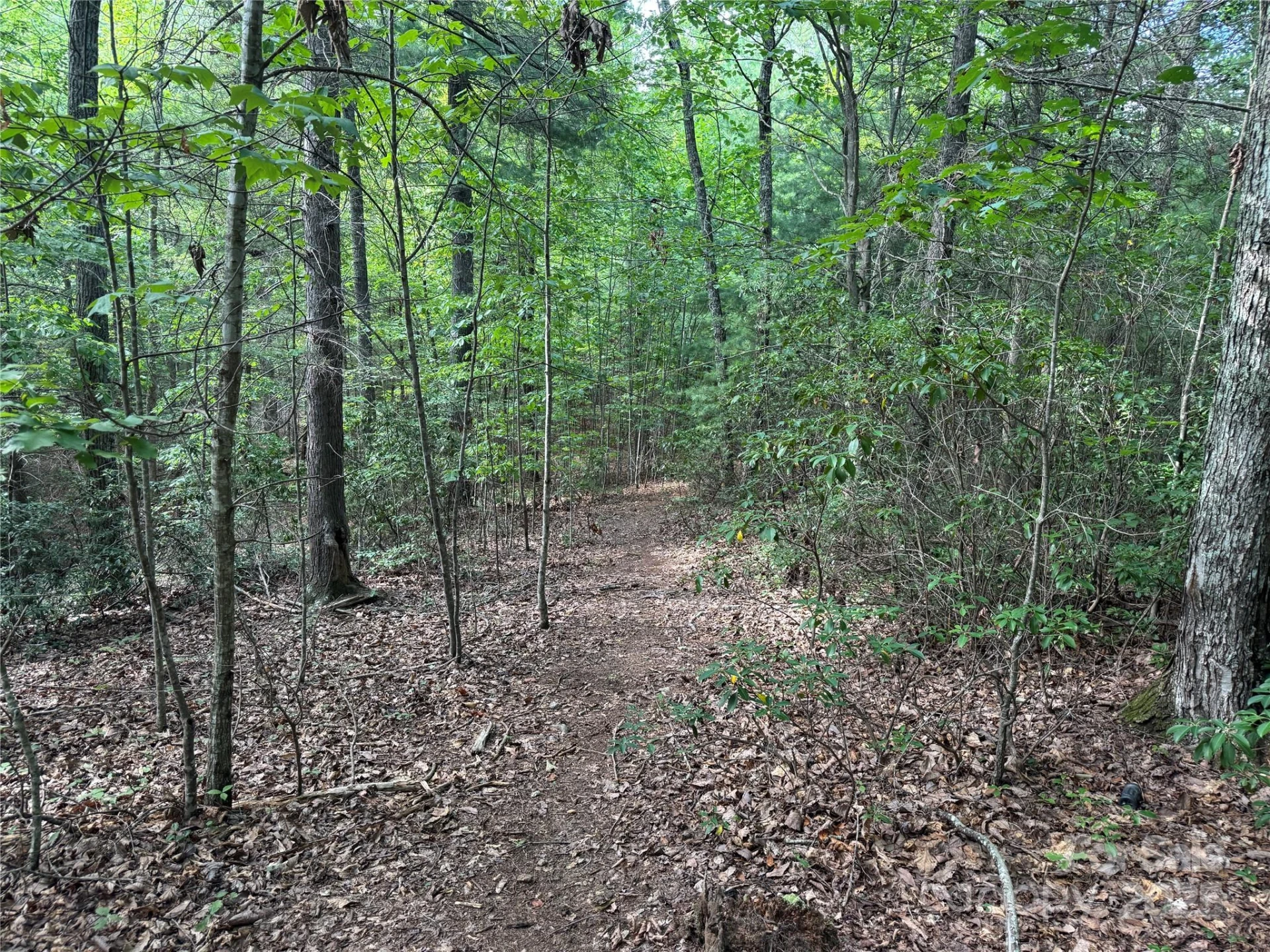 00 Rich Mountain Road - Photo 12
