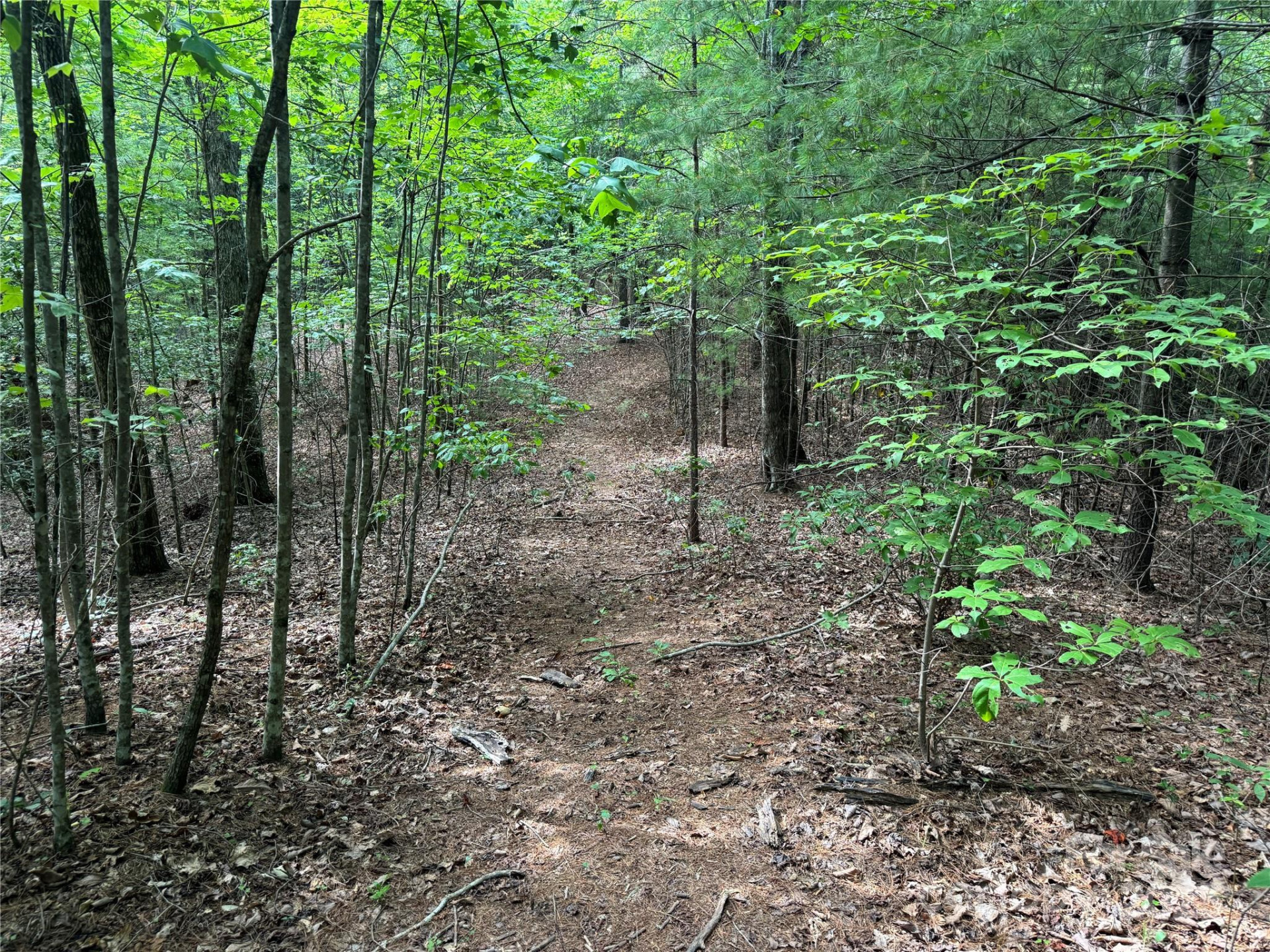 00 Rich Mountain Road - Photo 14