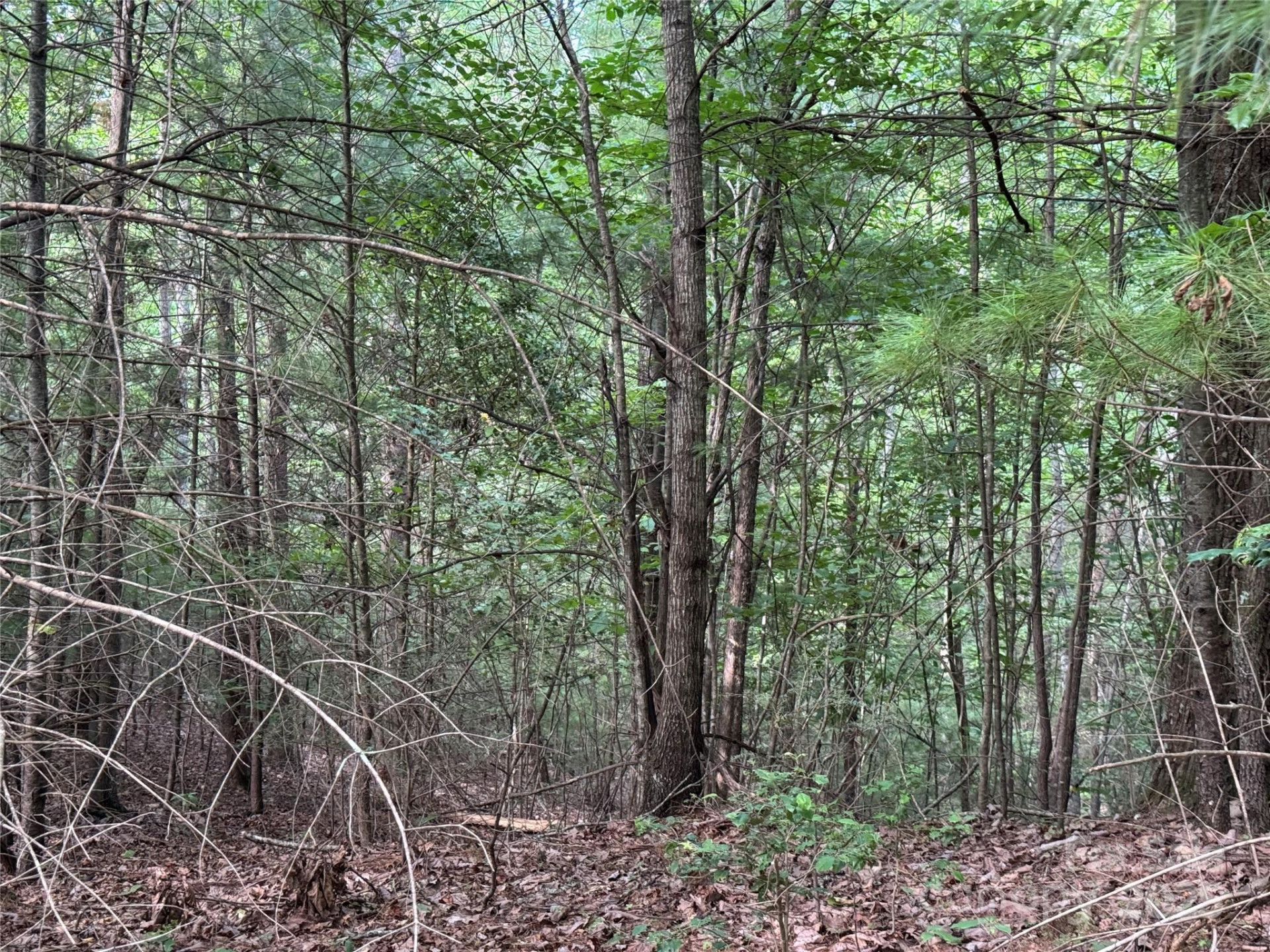 00 Rich Mountain Road - Photo 15