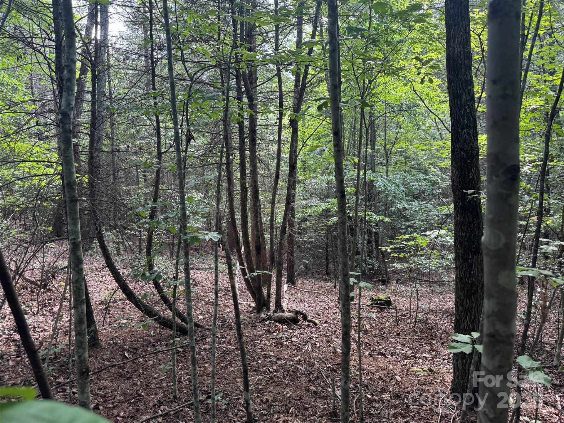 00 Rich Mountain Road - Photo 16