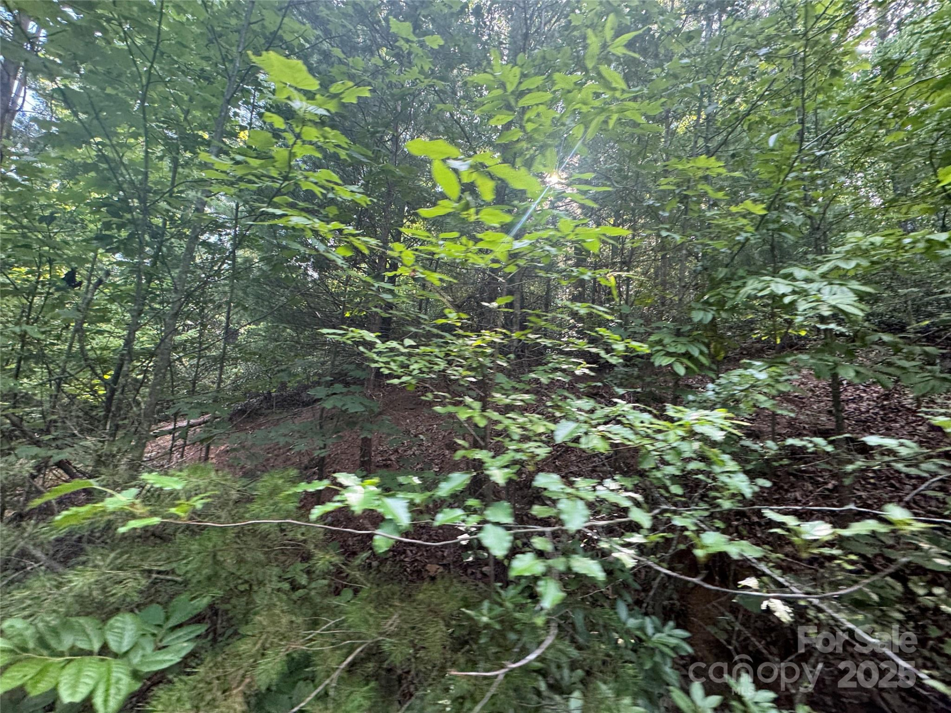 00 Rich Mountain Road - Photo 17