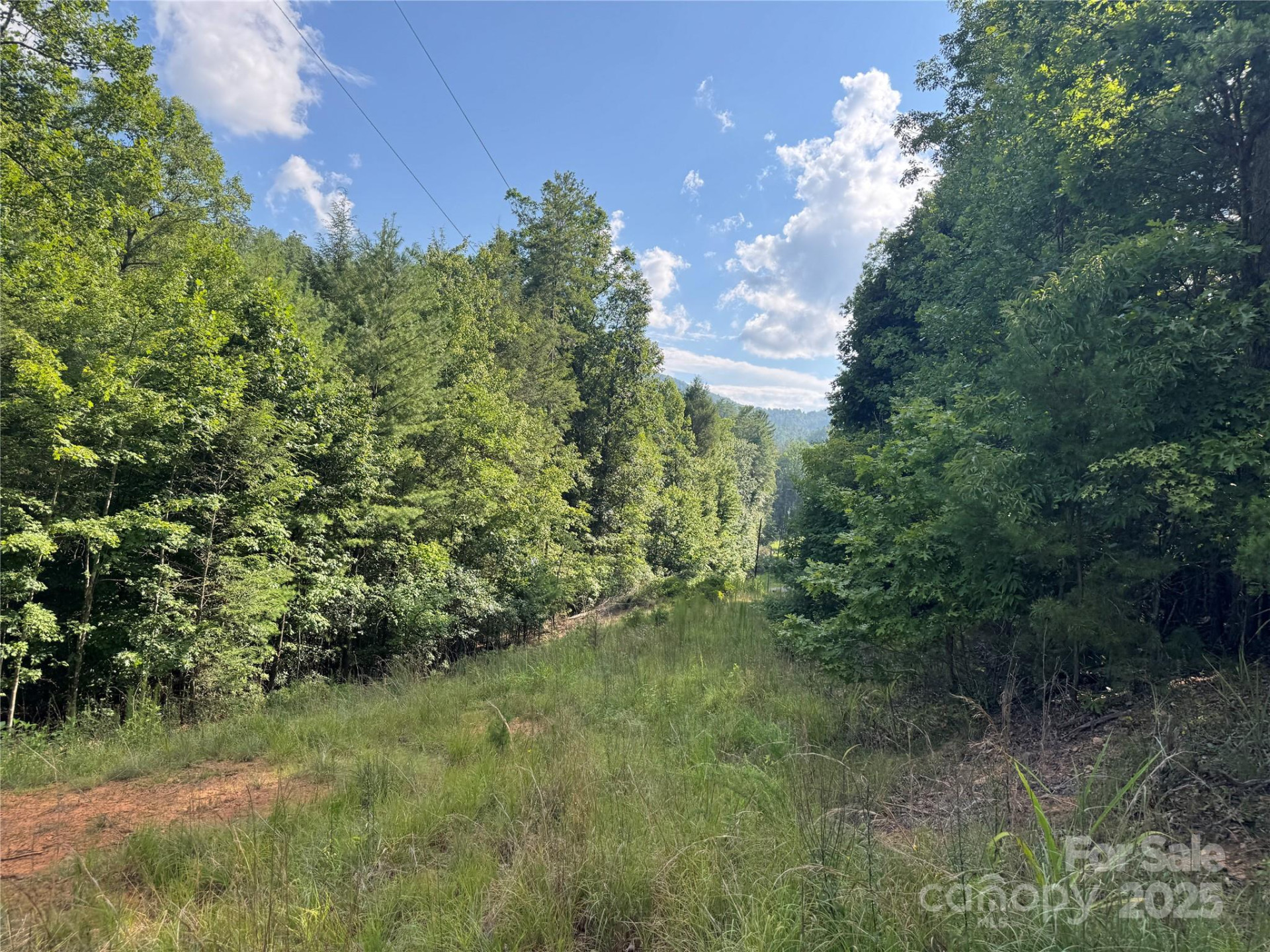 00 Rich Mountain Road - Photo 18