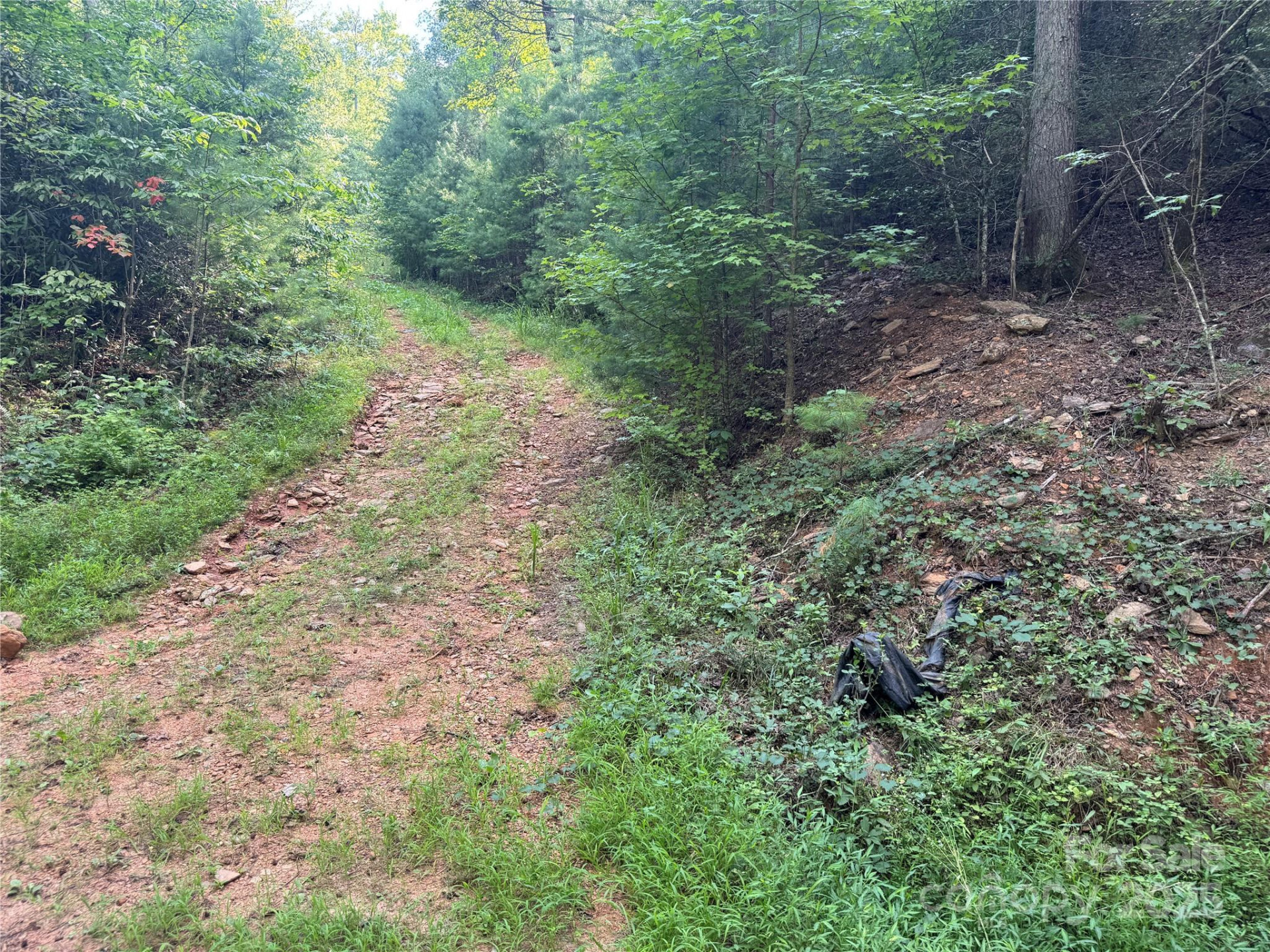 00 Rich Mountain Road - Photo 19