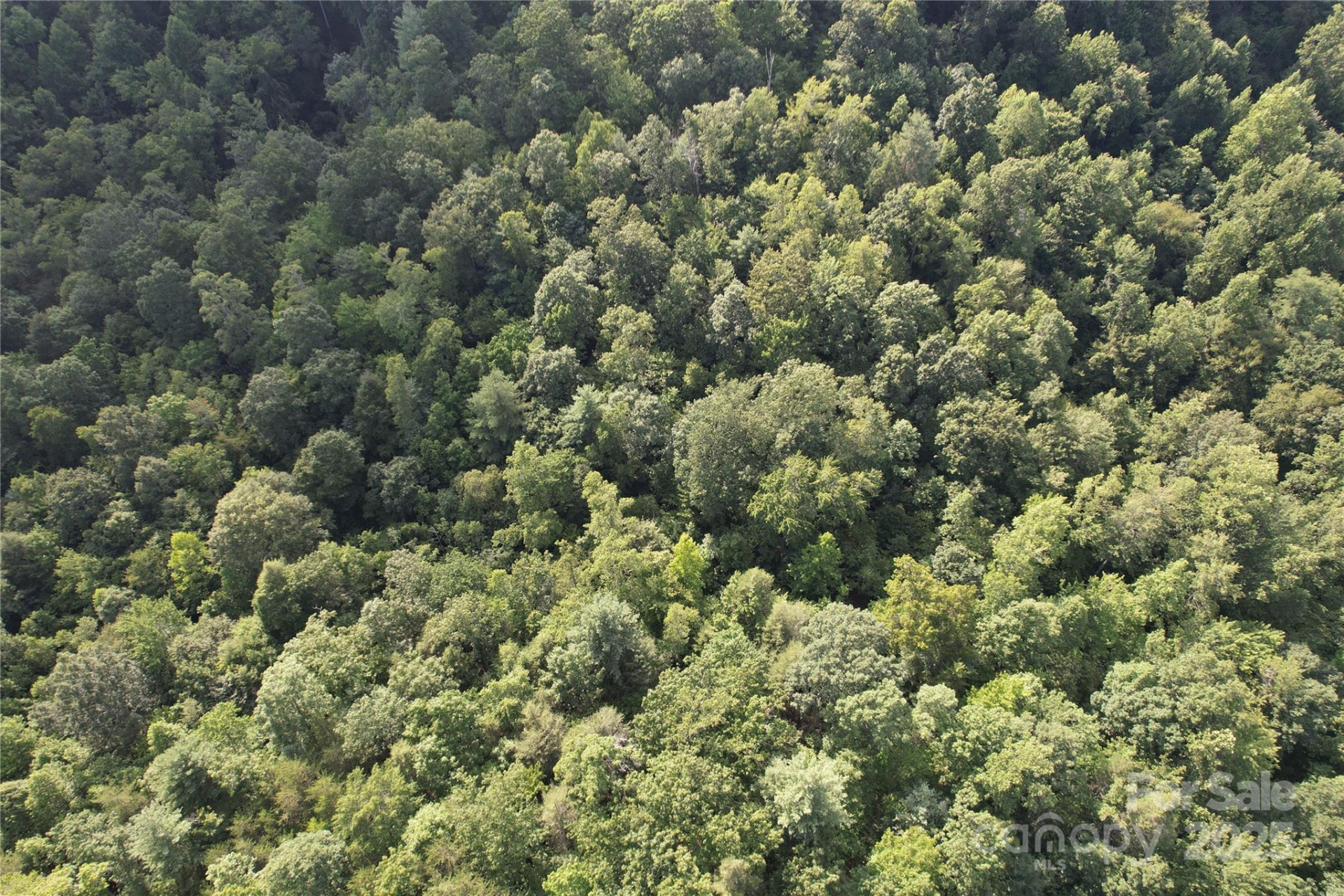 00 Rich Mountain Road - Photo 21