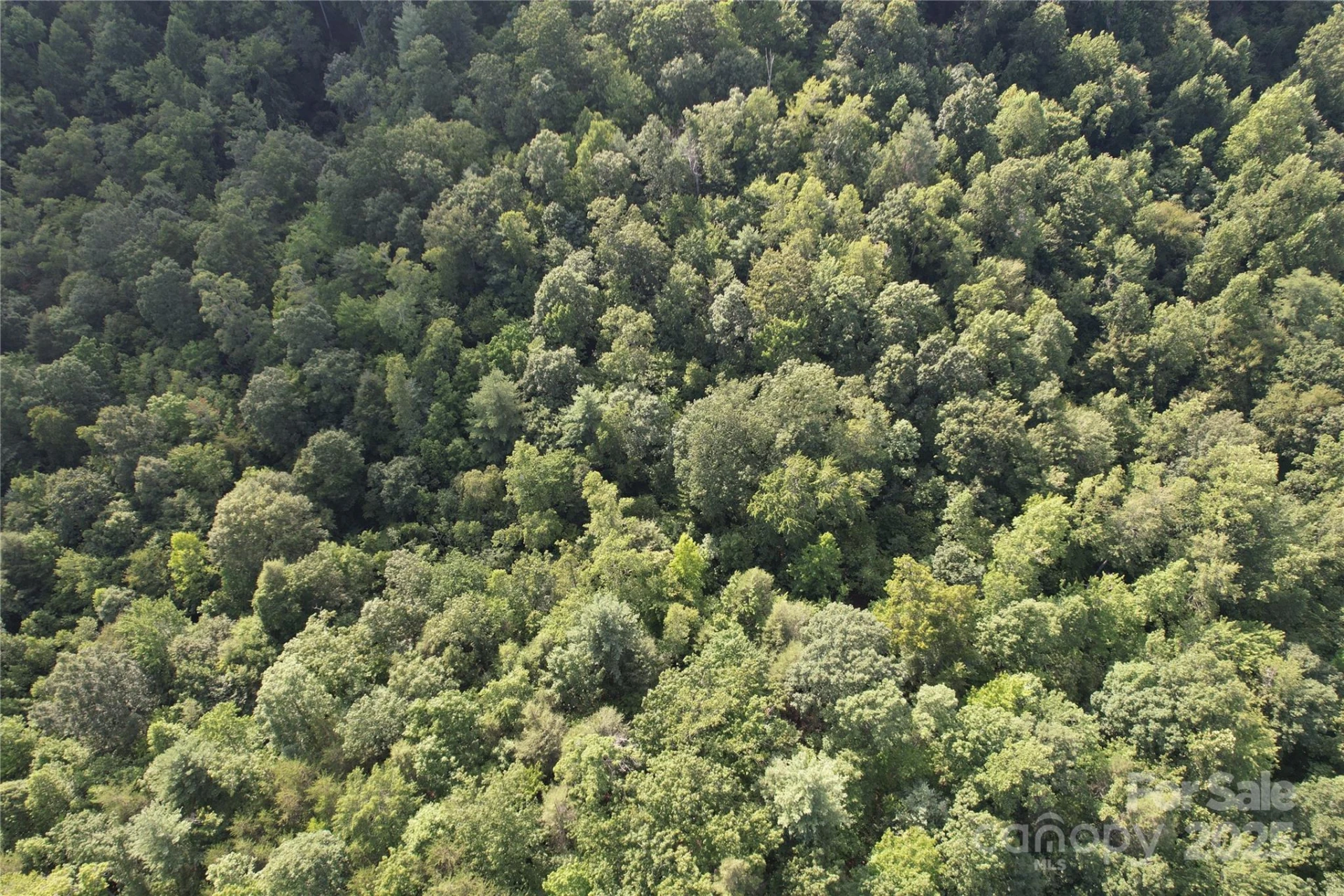 00 Rich Mountain Road - Photo 21