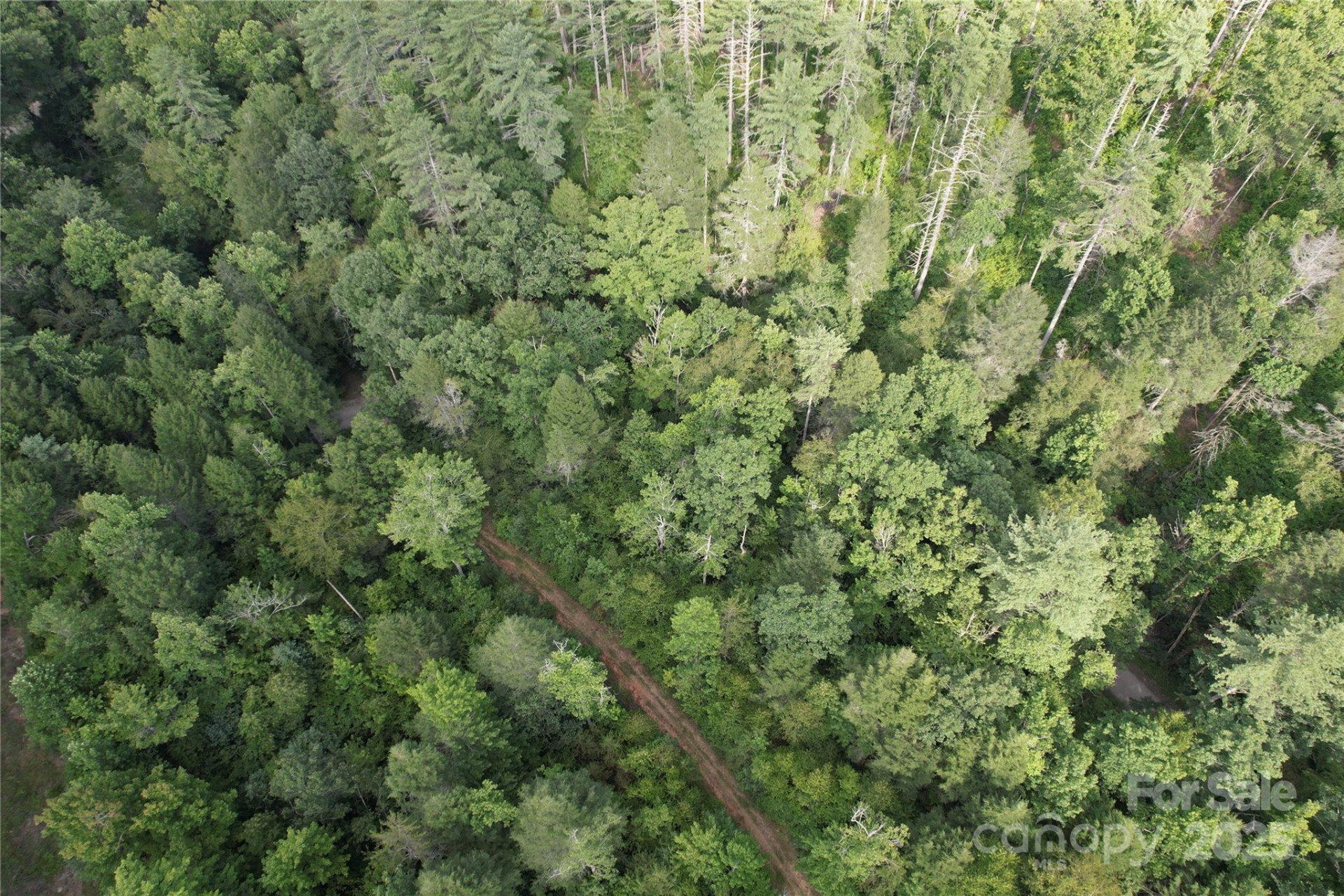 00 Rich Mountain Road - Photo 29