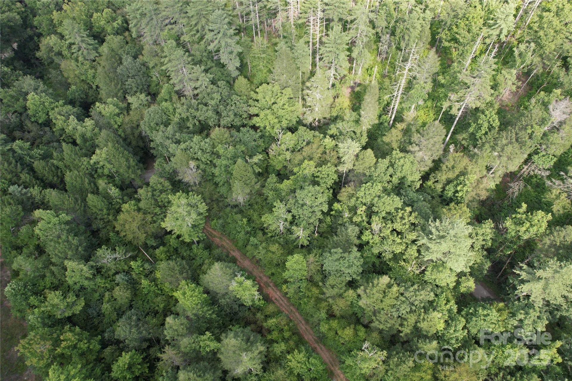 00 Rich Mountain Road - Photo 29