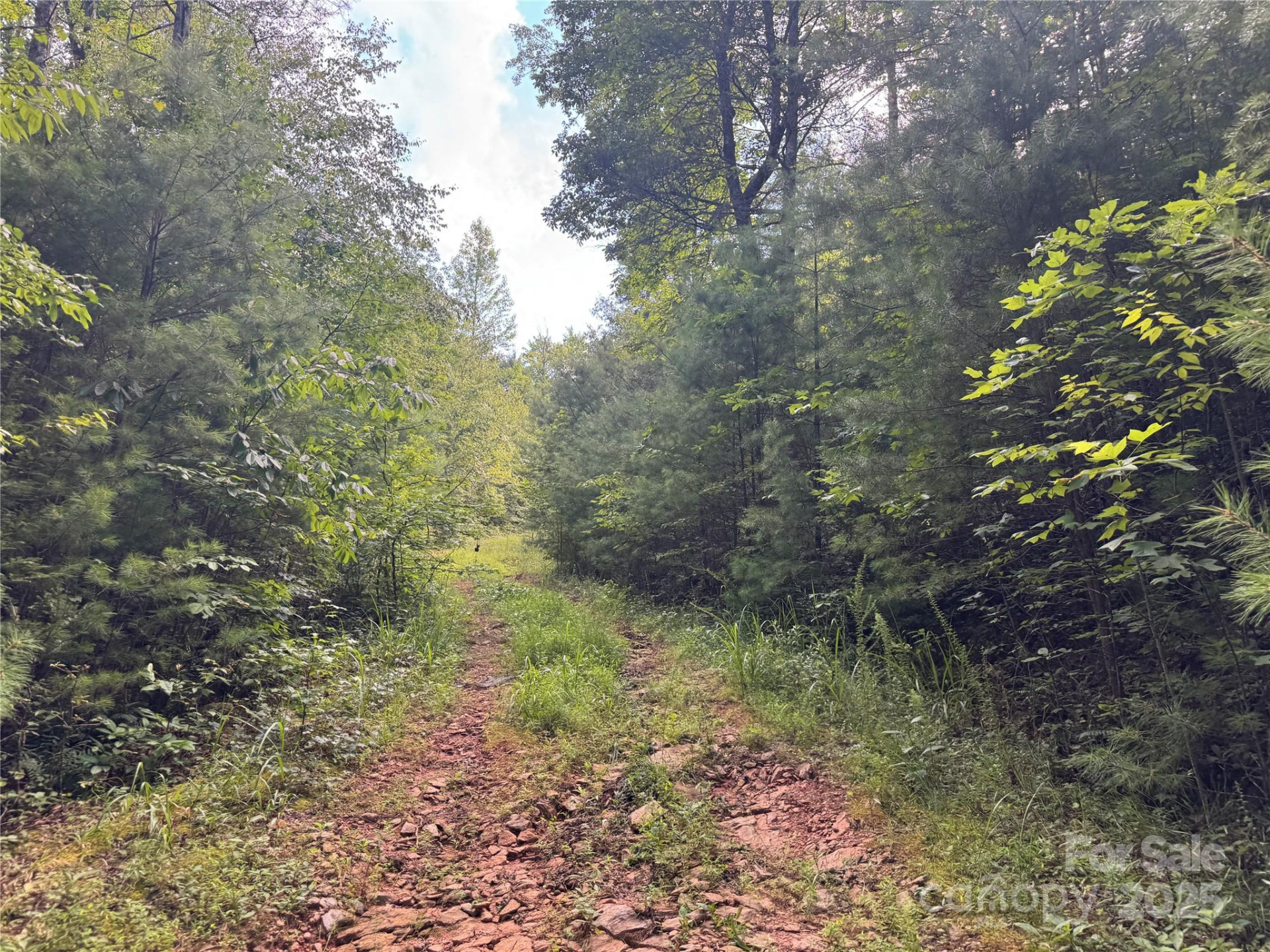 00 Rich Mountain Road - Photo 4