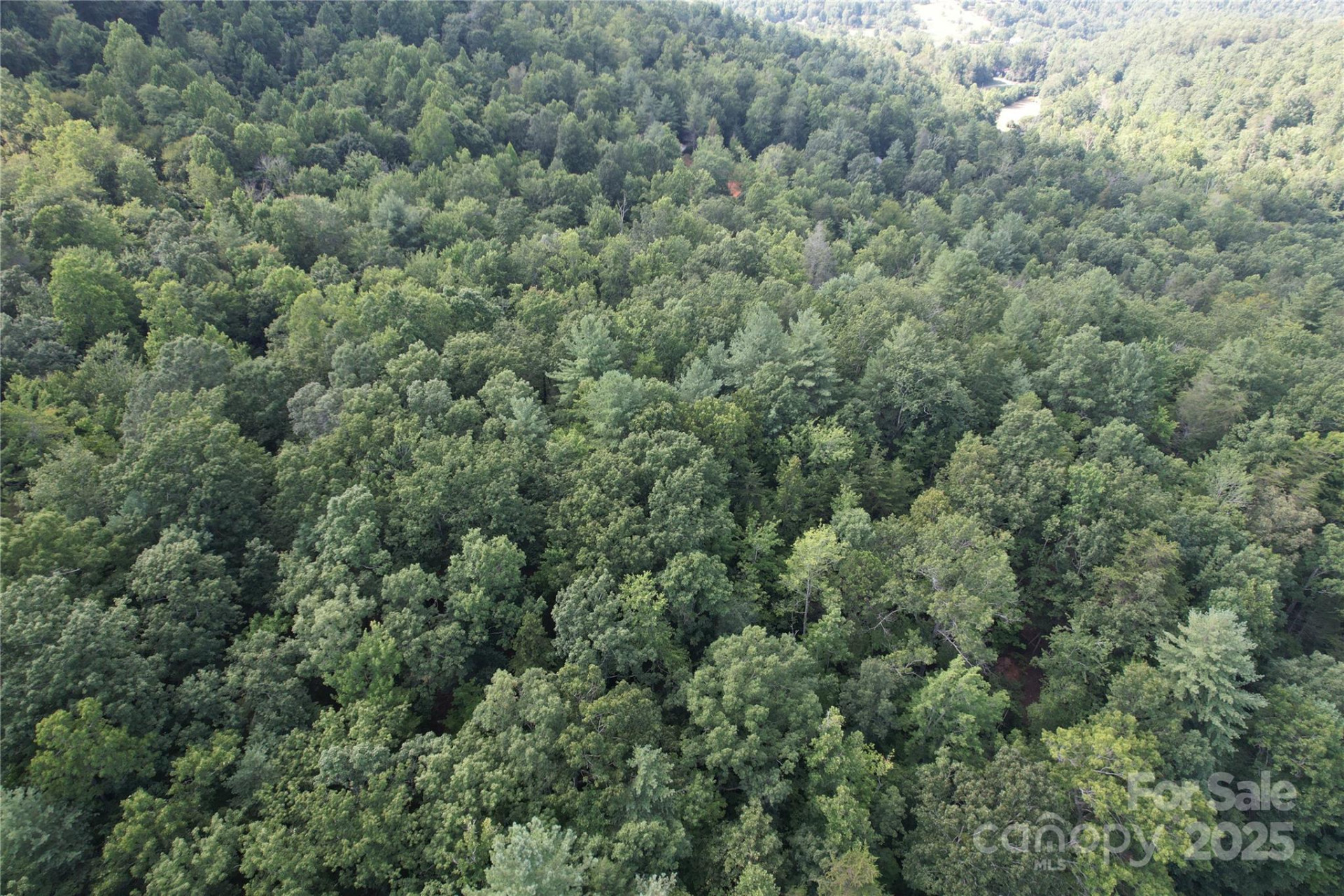 00 Rich Mountain Road - Photo 32