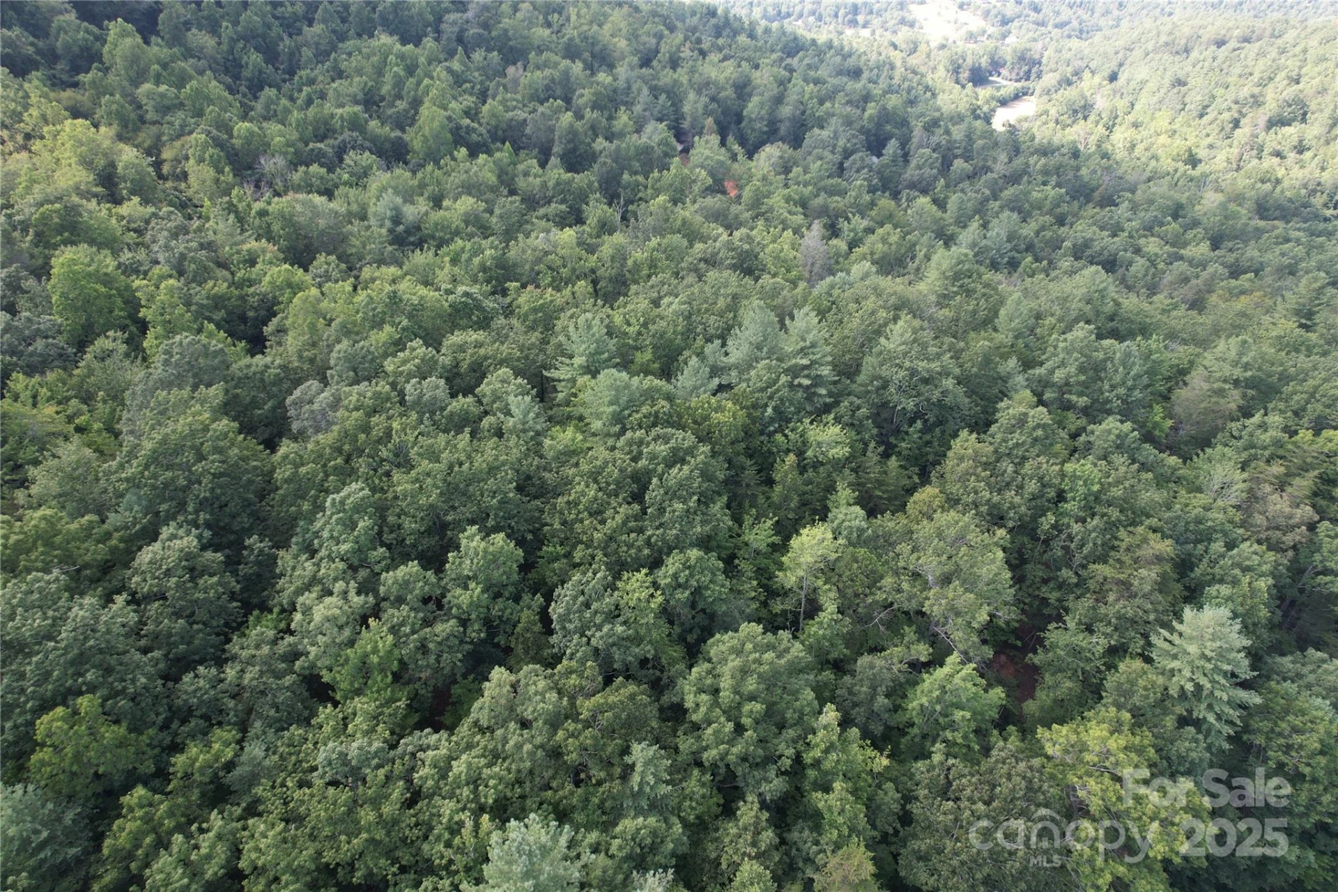 00 Rich Mountain Road - Photo 32
