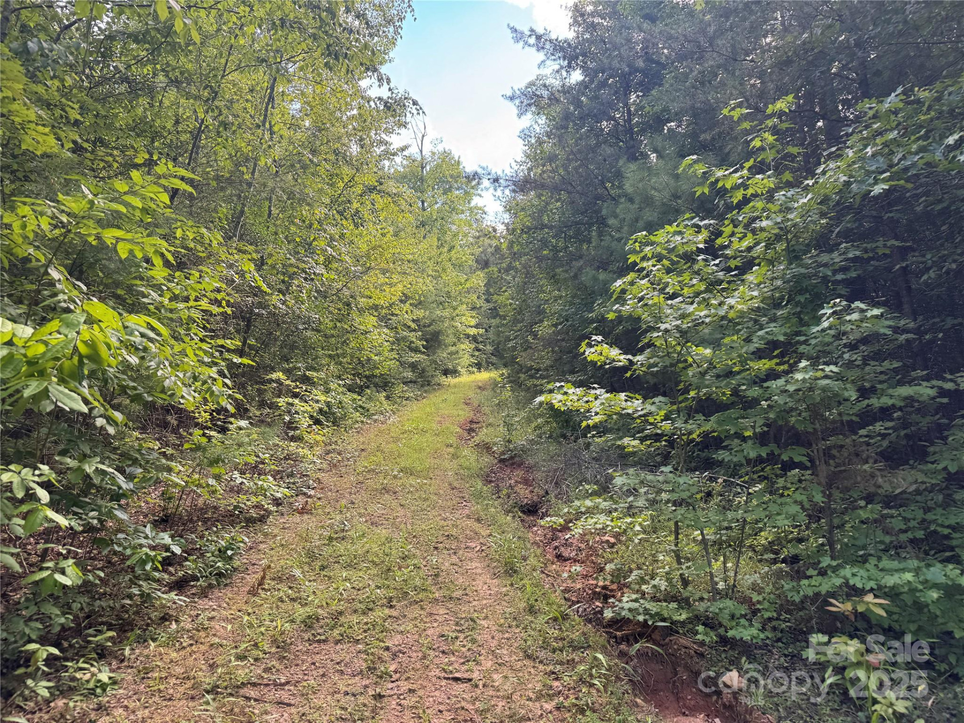 00 Rich Mountain Road - Photo 5